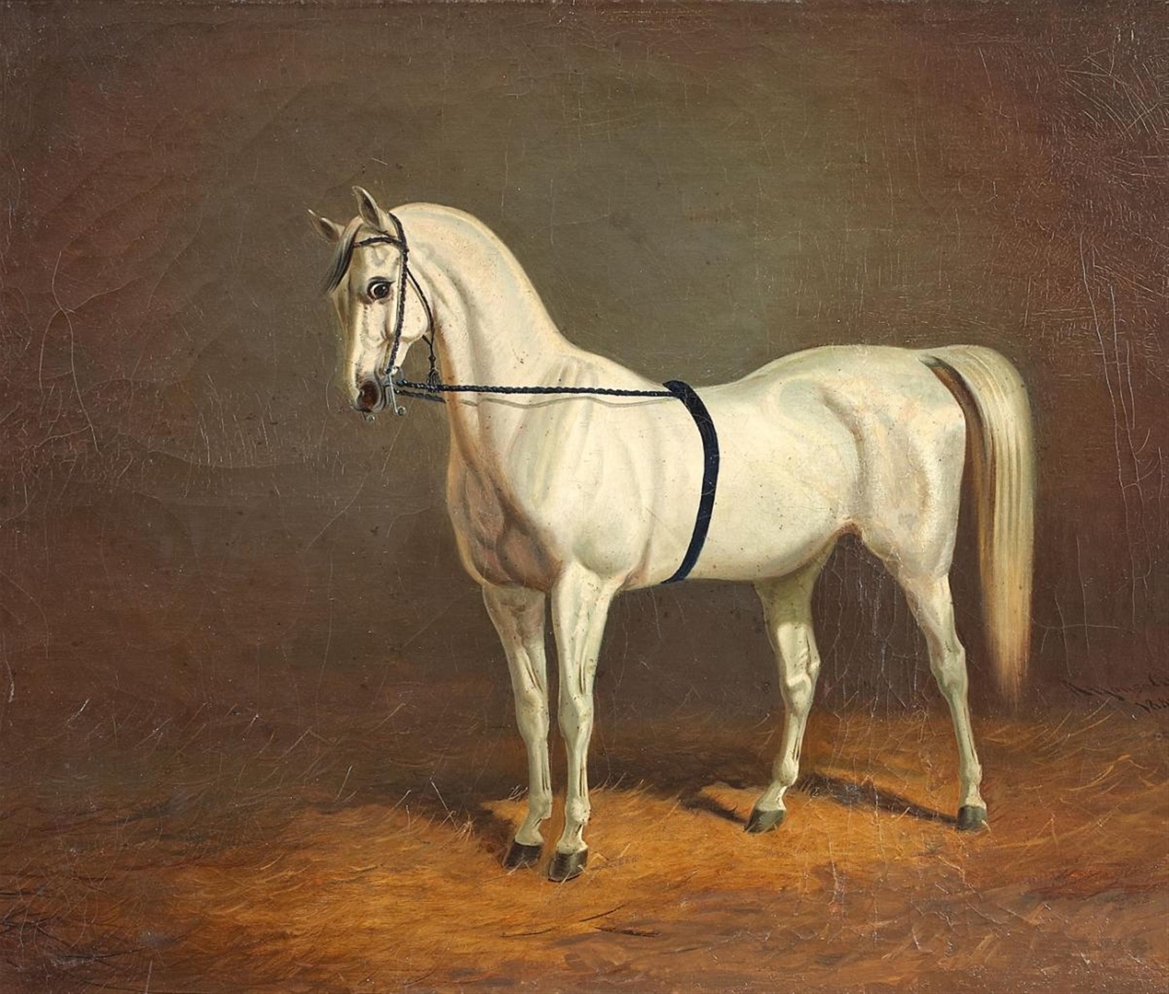 Alfonso Gray - WHITE HORSE IN THE STALL - image-1