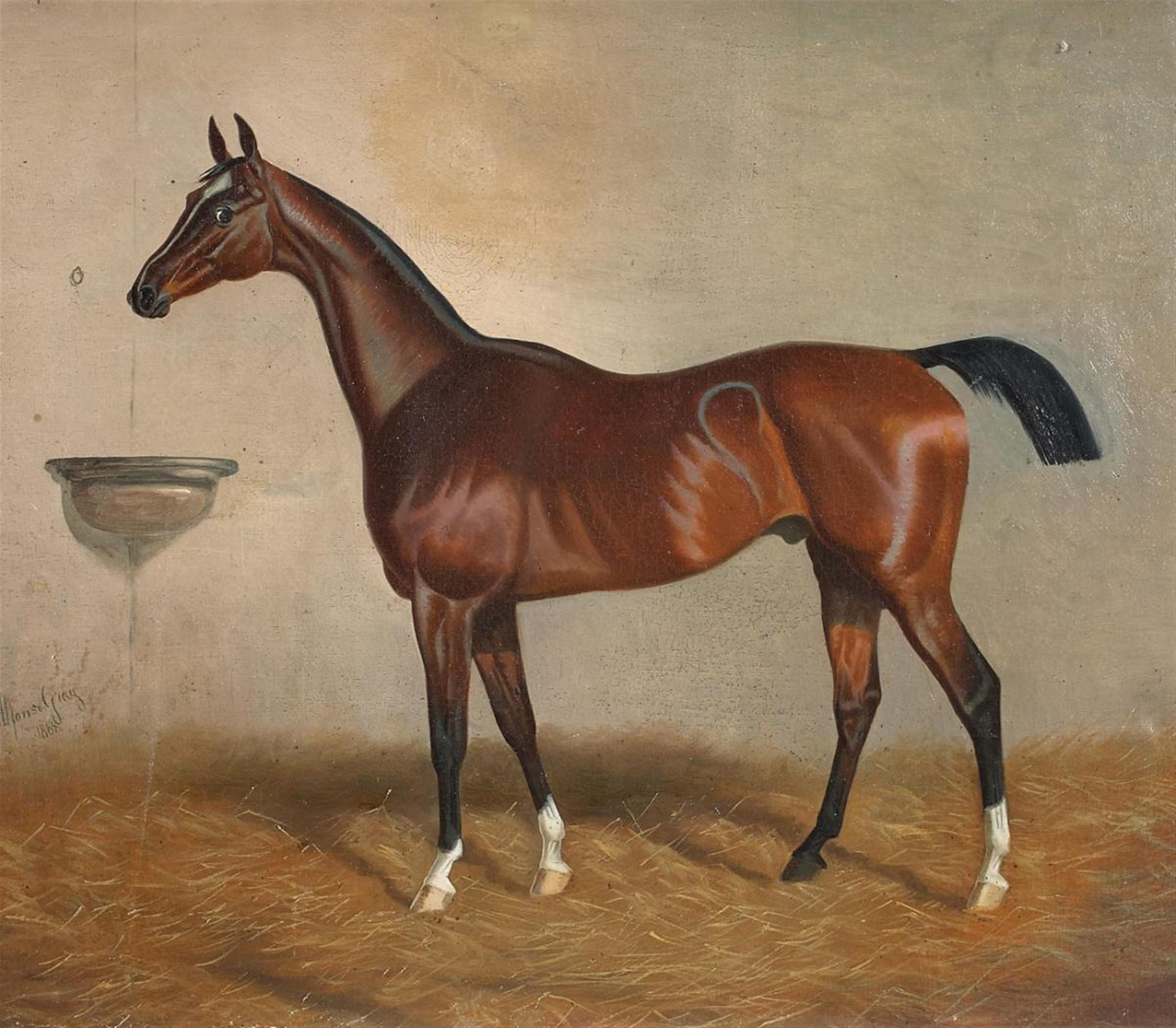 Alfonso Gray - BROWN HORSE IN THE STALL - image-1