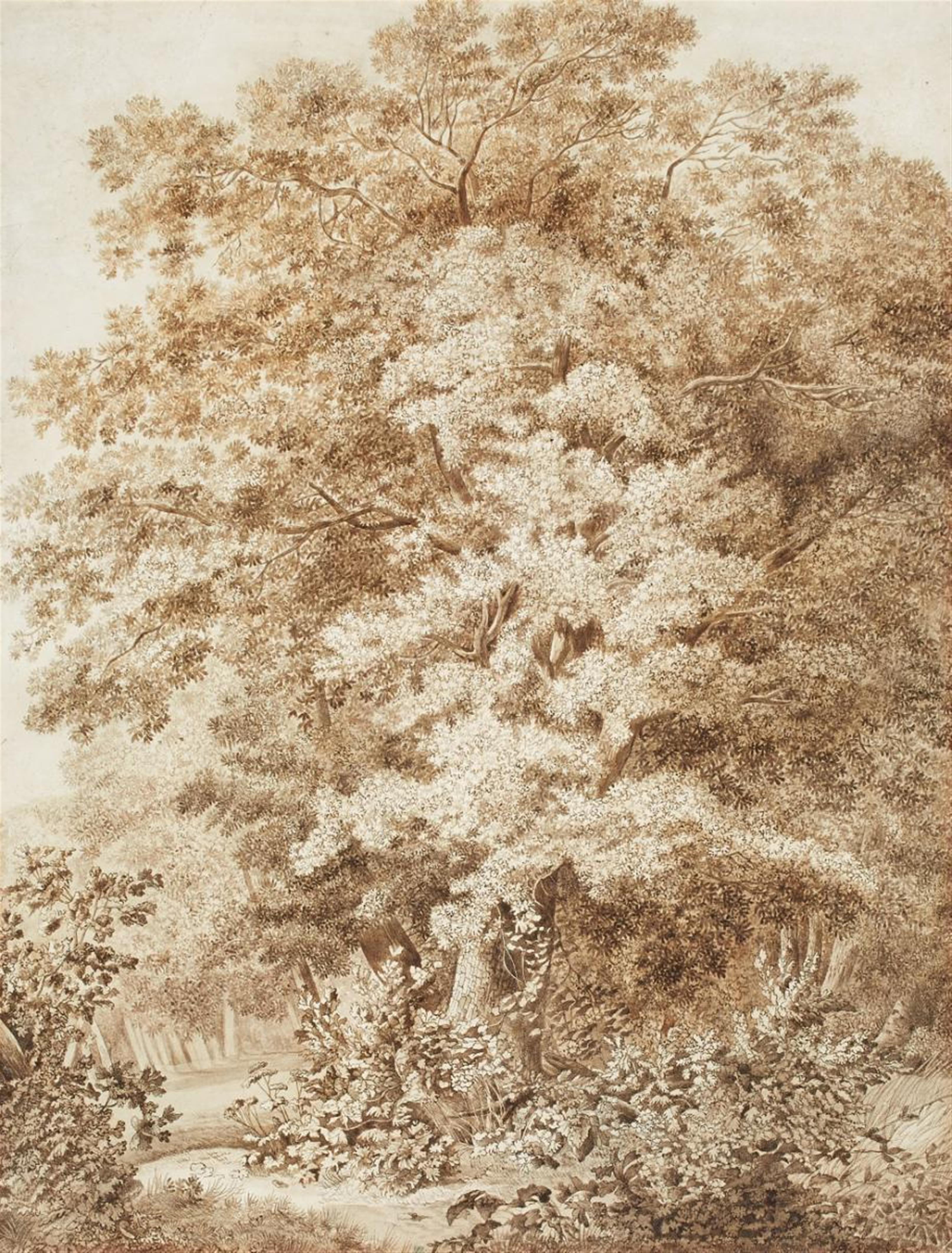 Carl Wilhelm Kolbe the Elder - FOREST WITH LARGE OAKS AND DENSE UNDERWOOD - image-1
