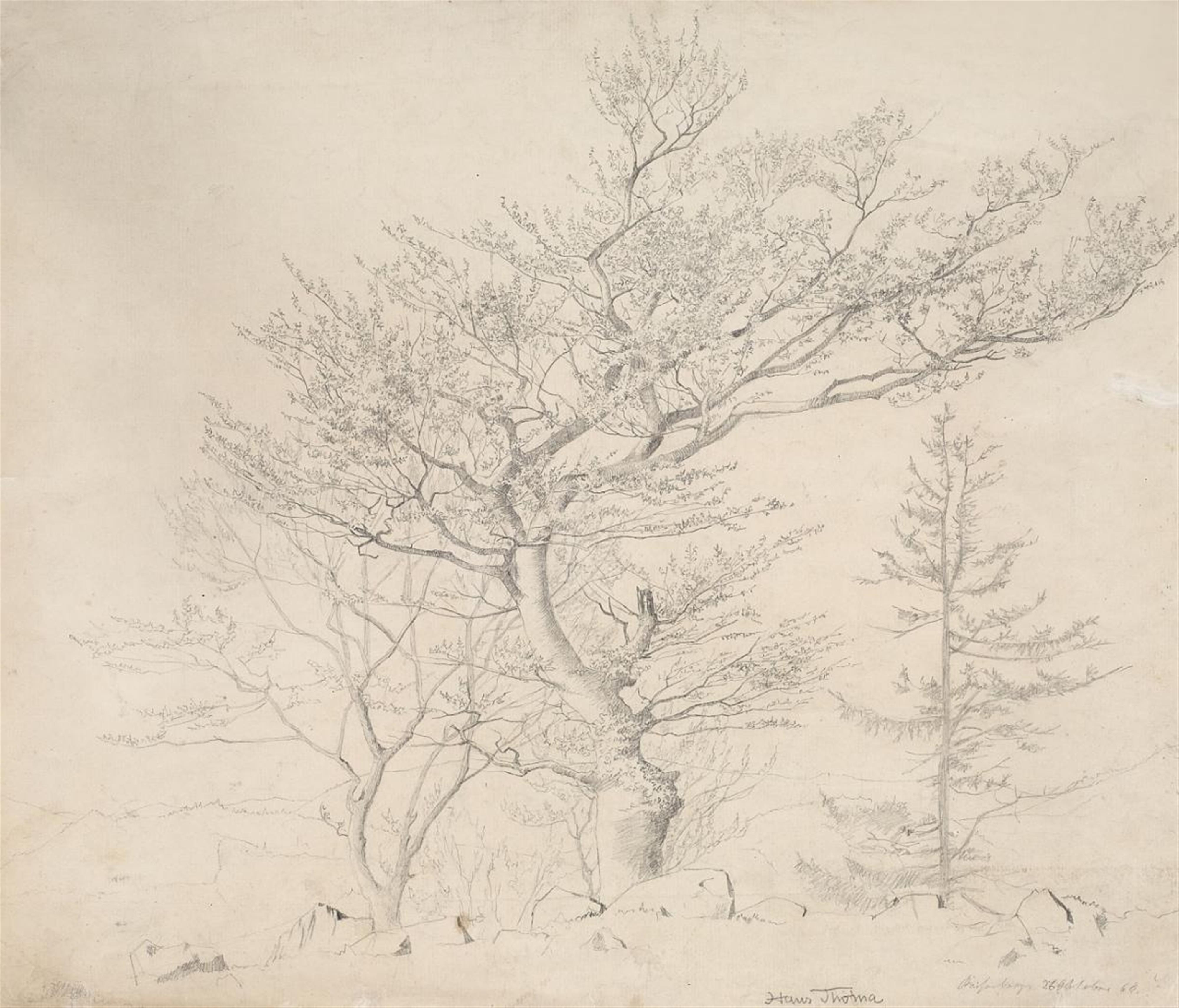 Hans Thoma - TREE STUDY FROM THE BLACK FOREST - image-1