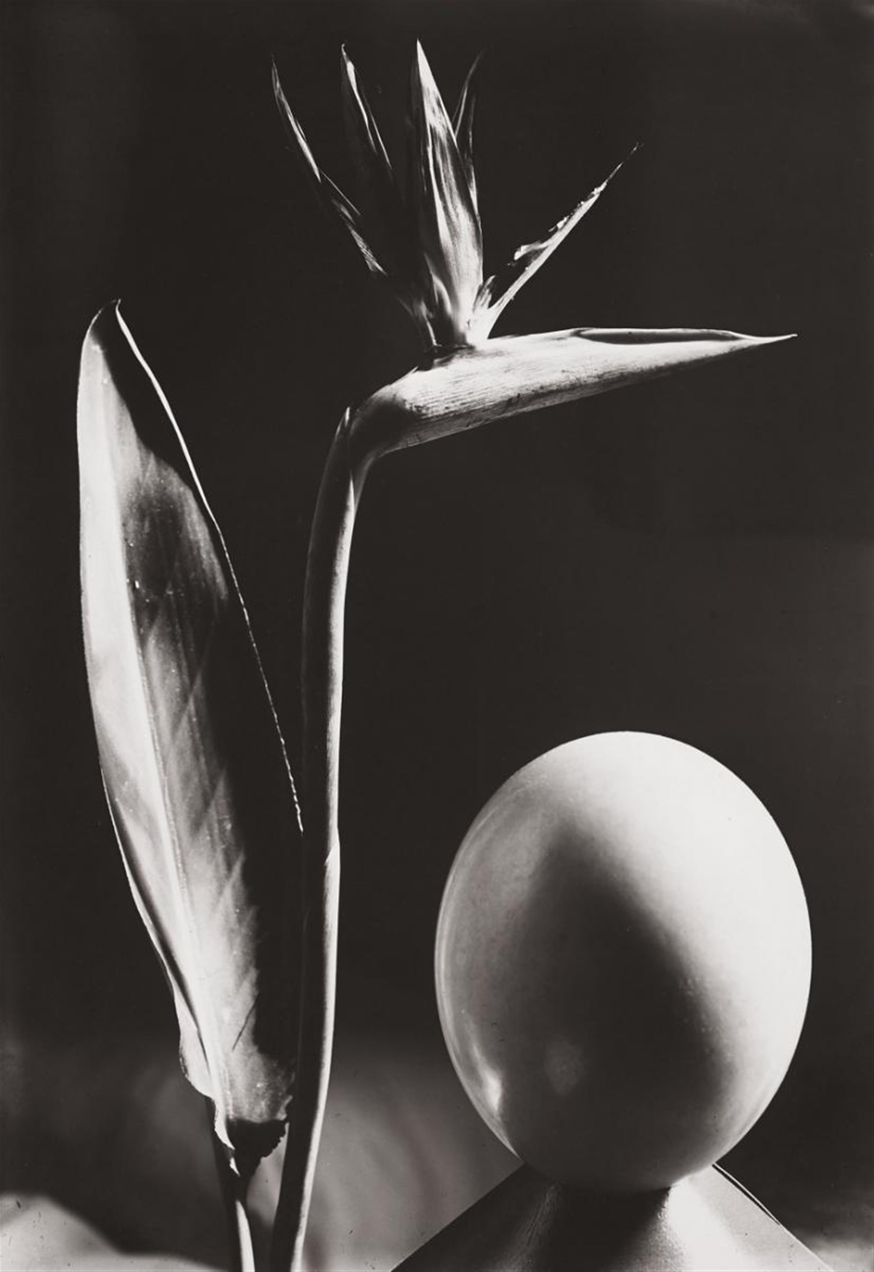 Man Ray - Composition avec l'Oeuf - image-1