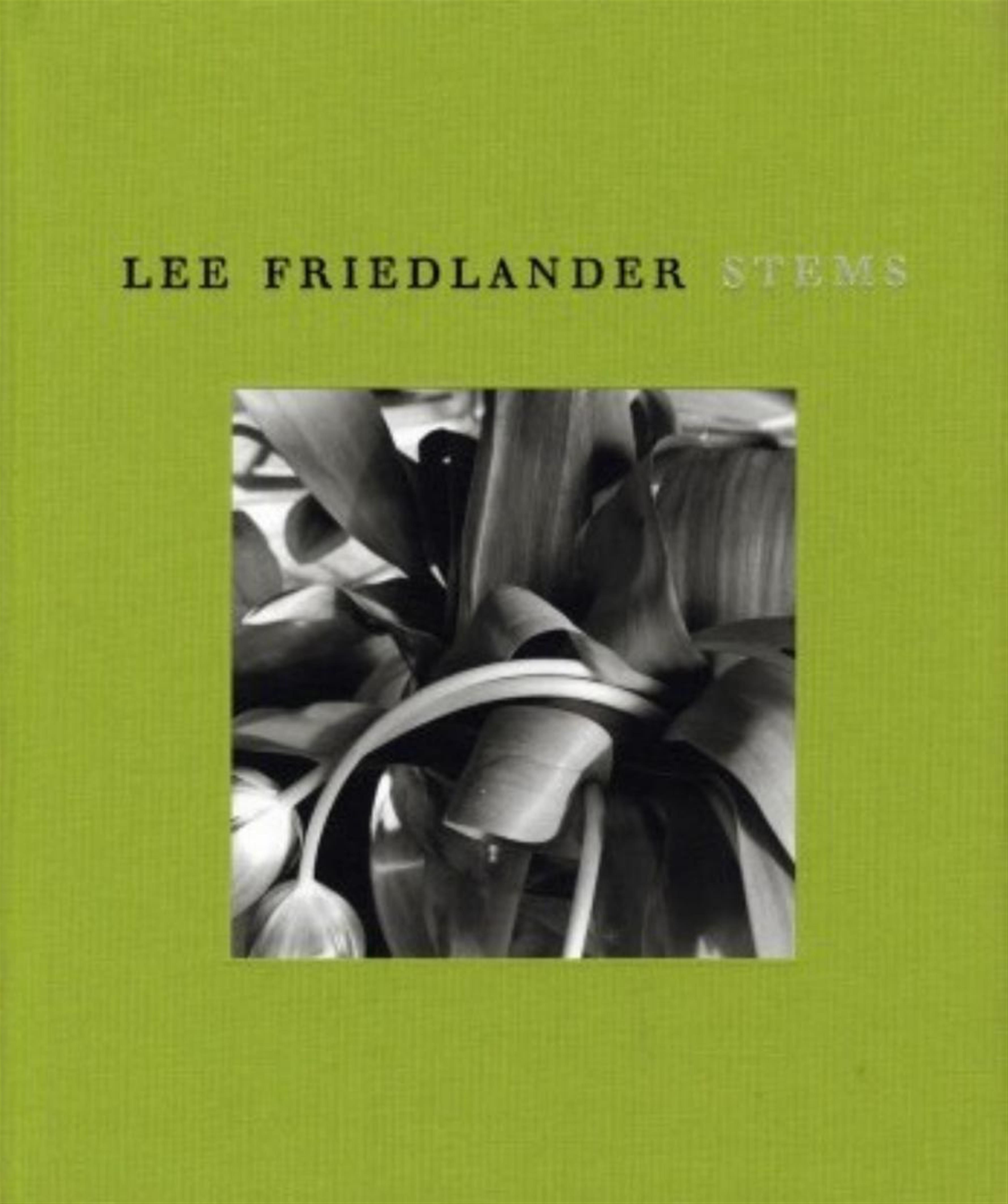 Lee (Norman) Friedlander - Stems - image-2