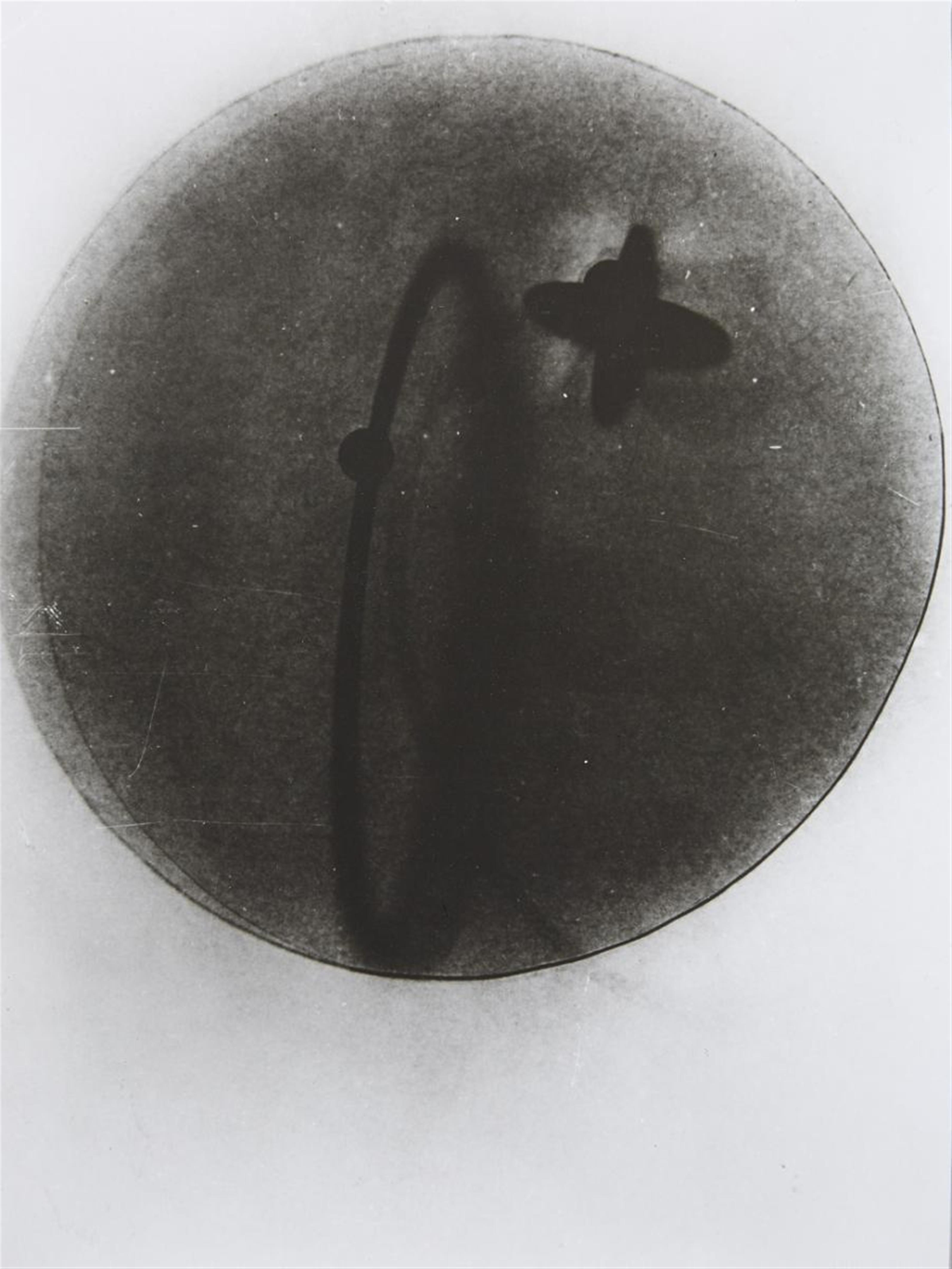László Moholy-Nagy - 10 Fotogramme (10 Photograms) - image-8