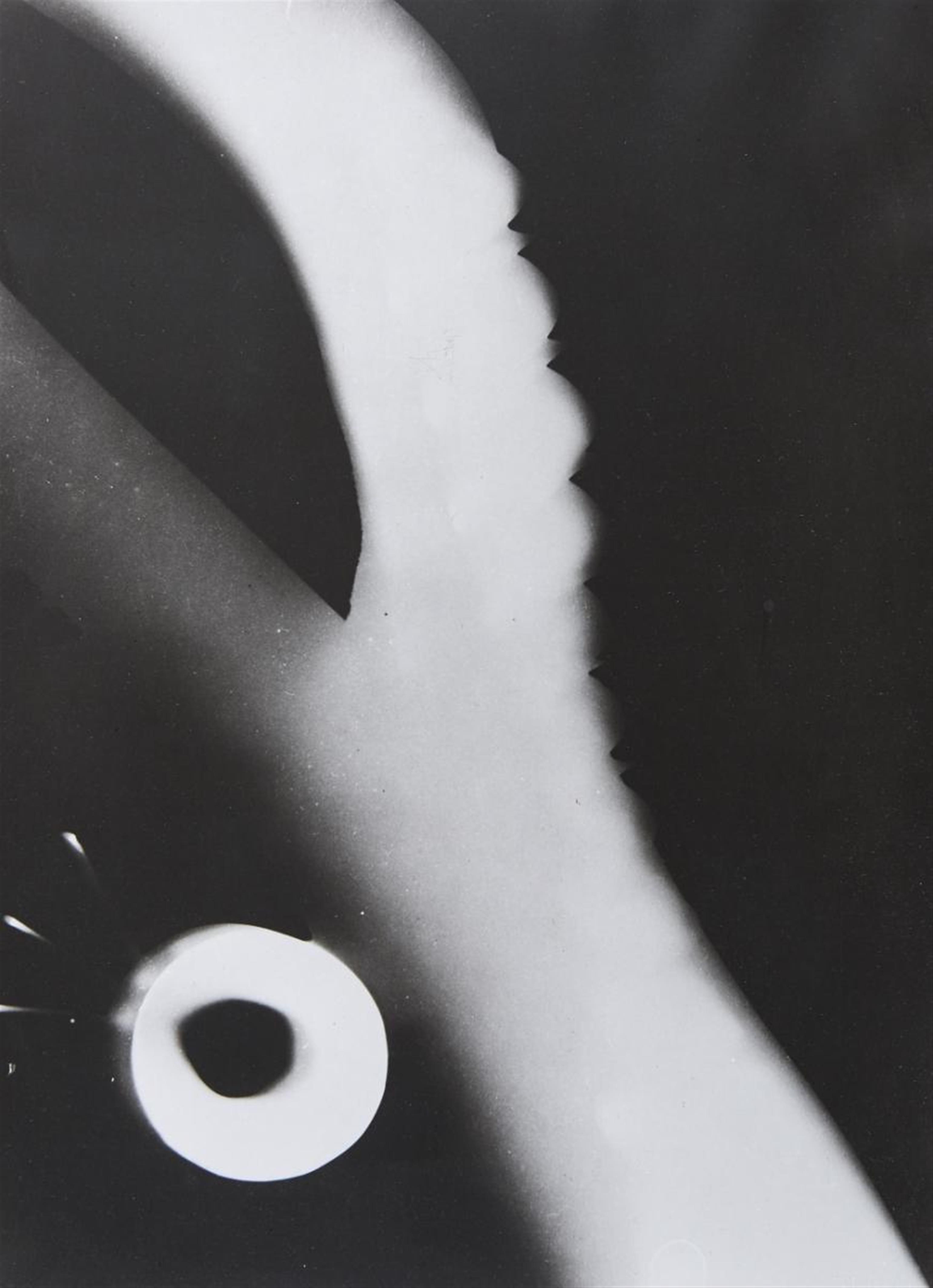 László Moholy-Nagy - 10 Fotogramme (10 Photograms) - image-10