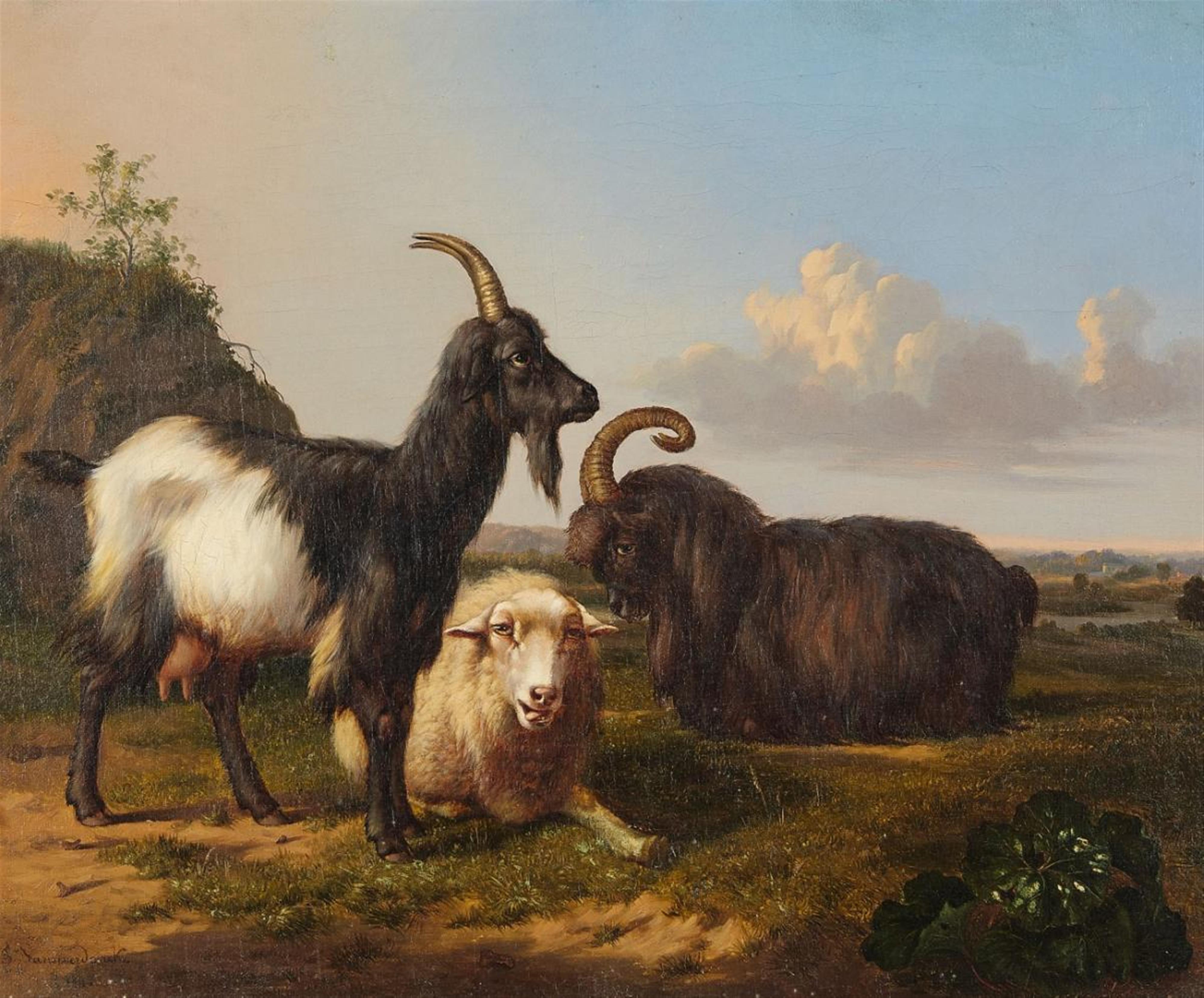 Frans van Severdonck - A Sheep and Two Goats in a Meadow - image-1