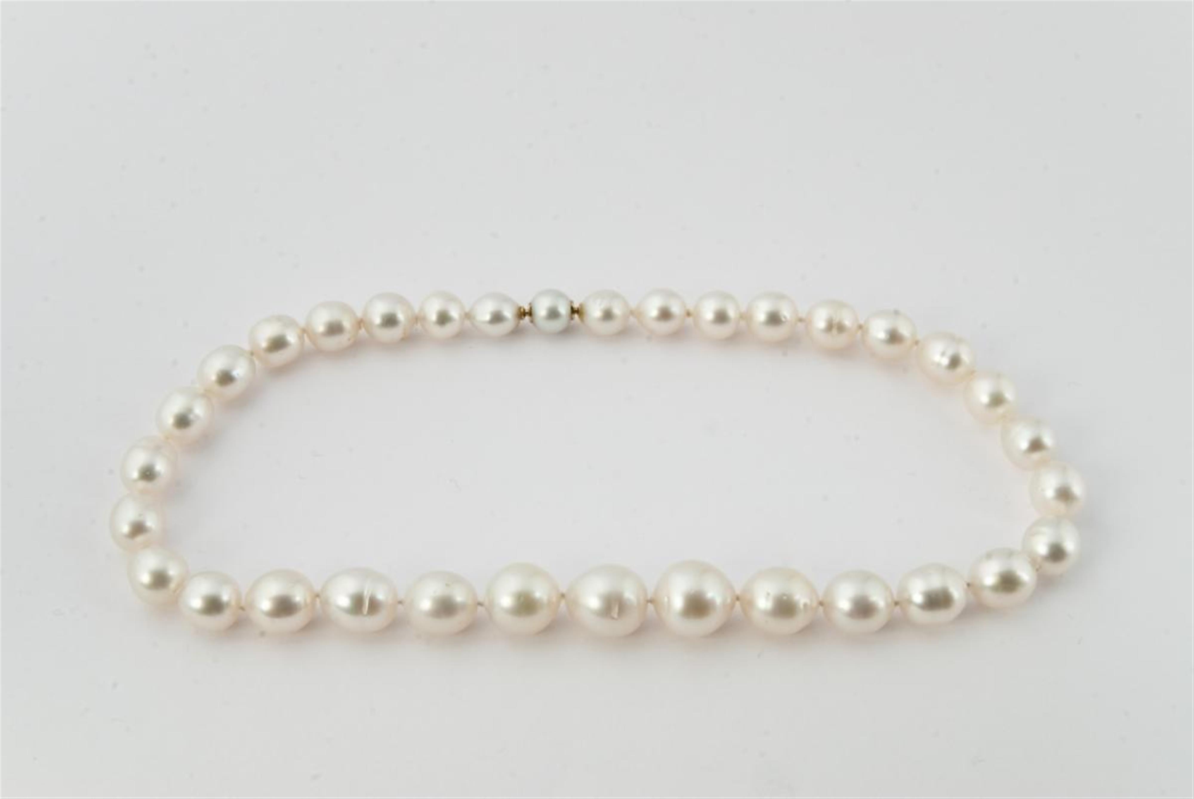 A gold and South Sea pearl necklace. - image-1