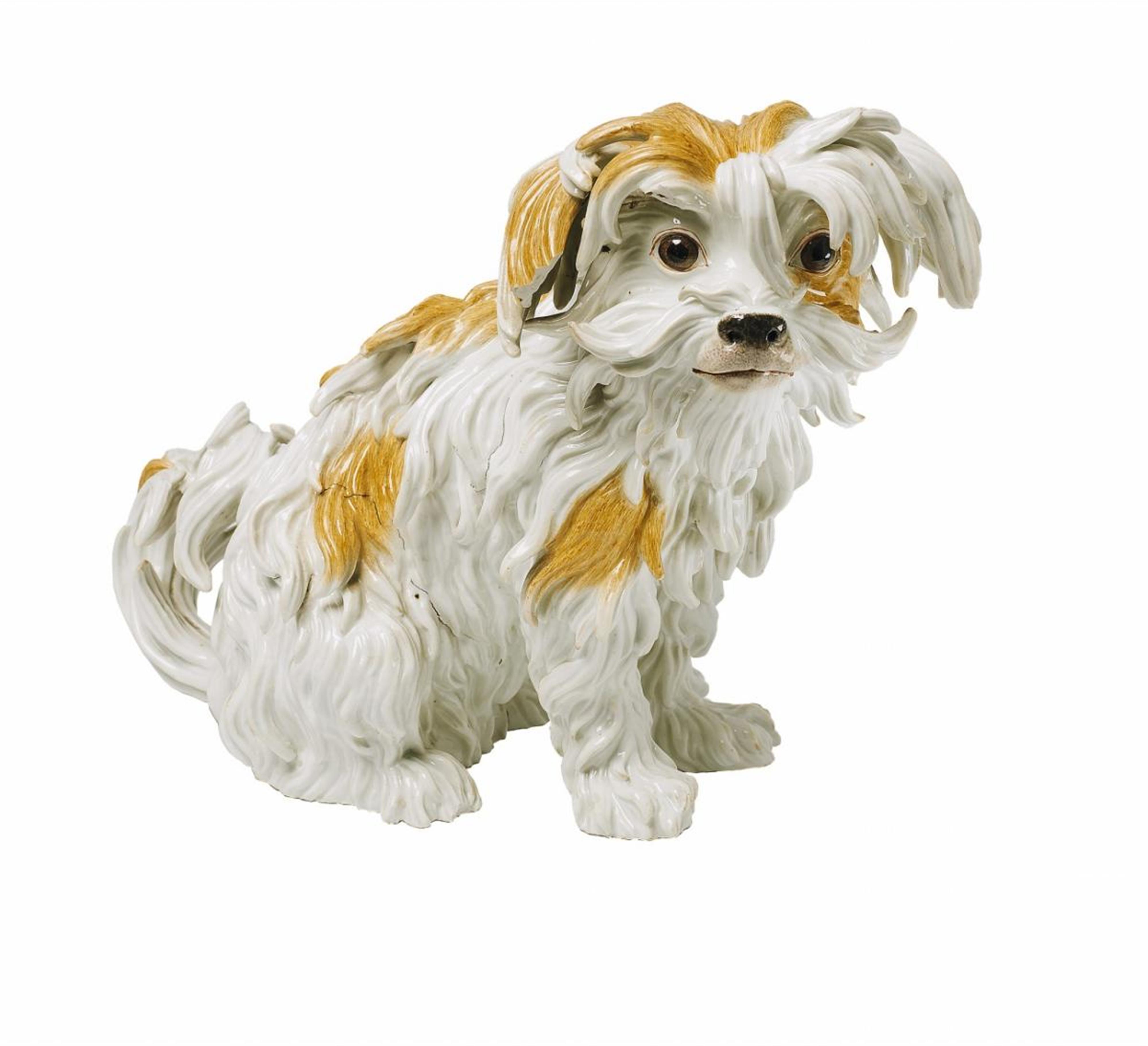 A Meissen figure of a Bolognese dog. - image-2