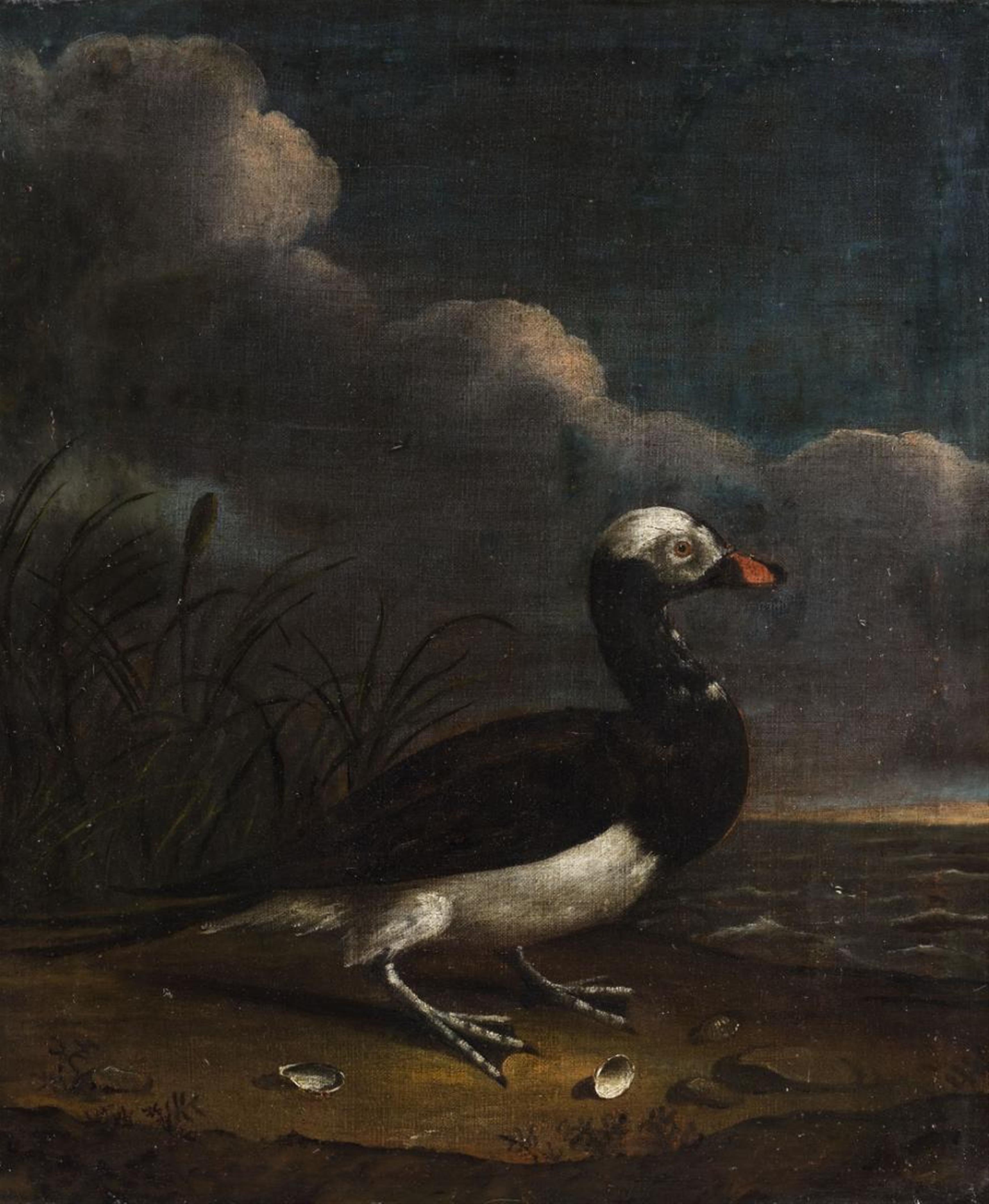 Holländischer Meister um 1680 - Eine exotische Ente - image-1