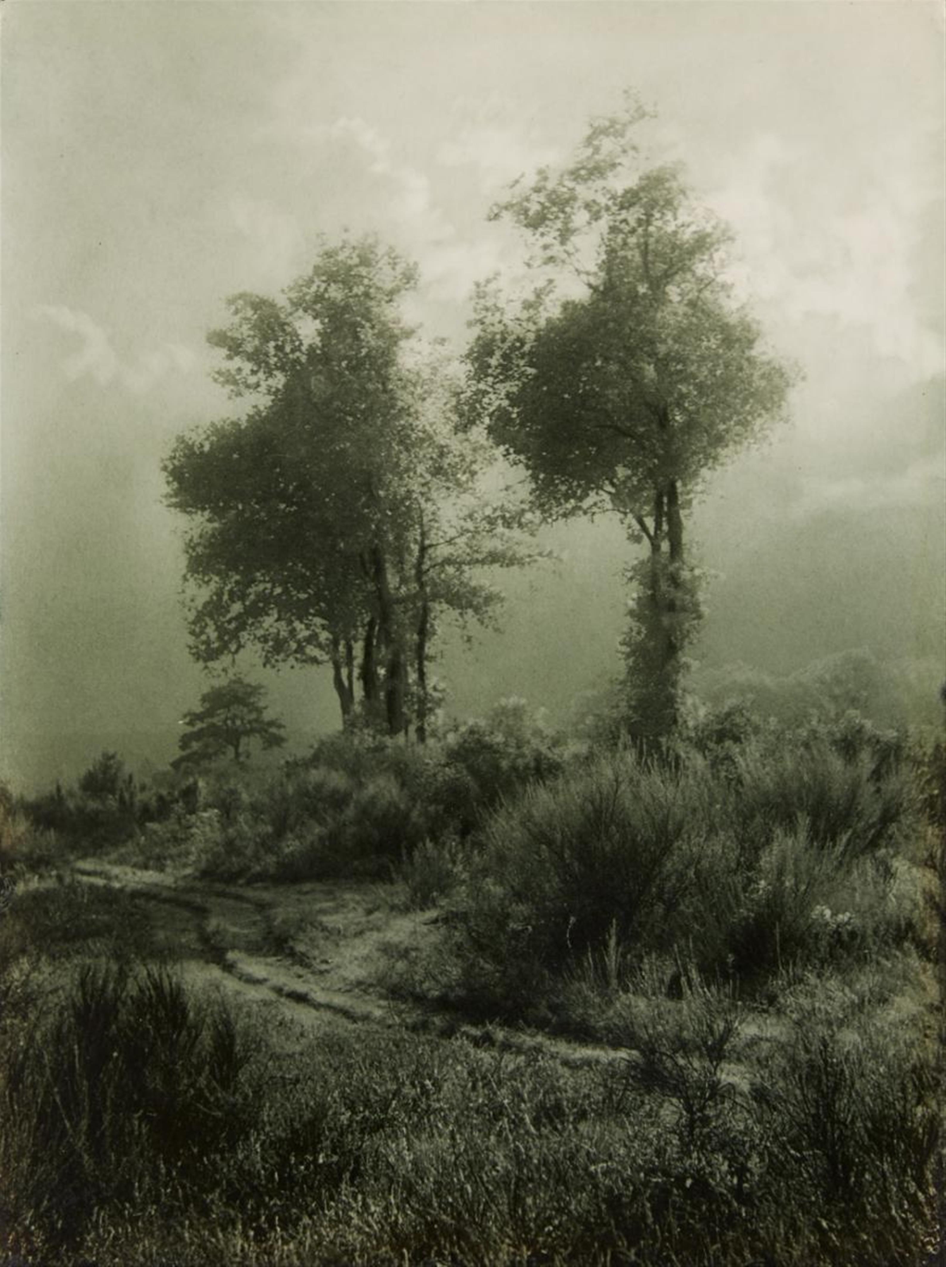 Léonard Misonne - Deux arbres en Campine - image-1