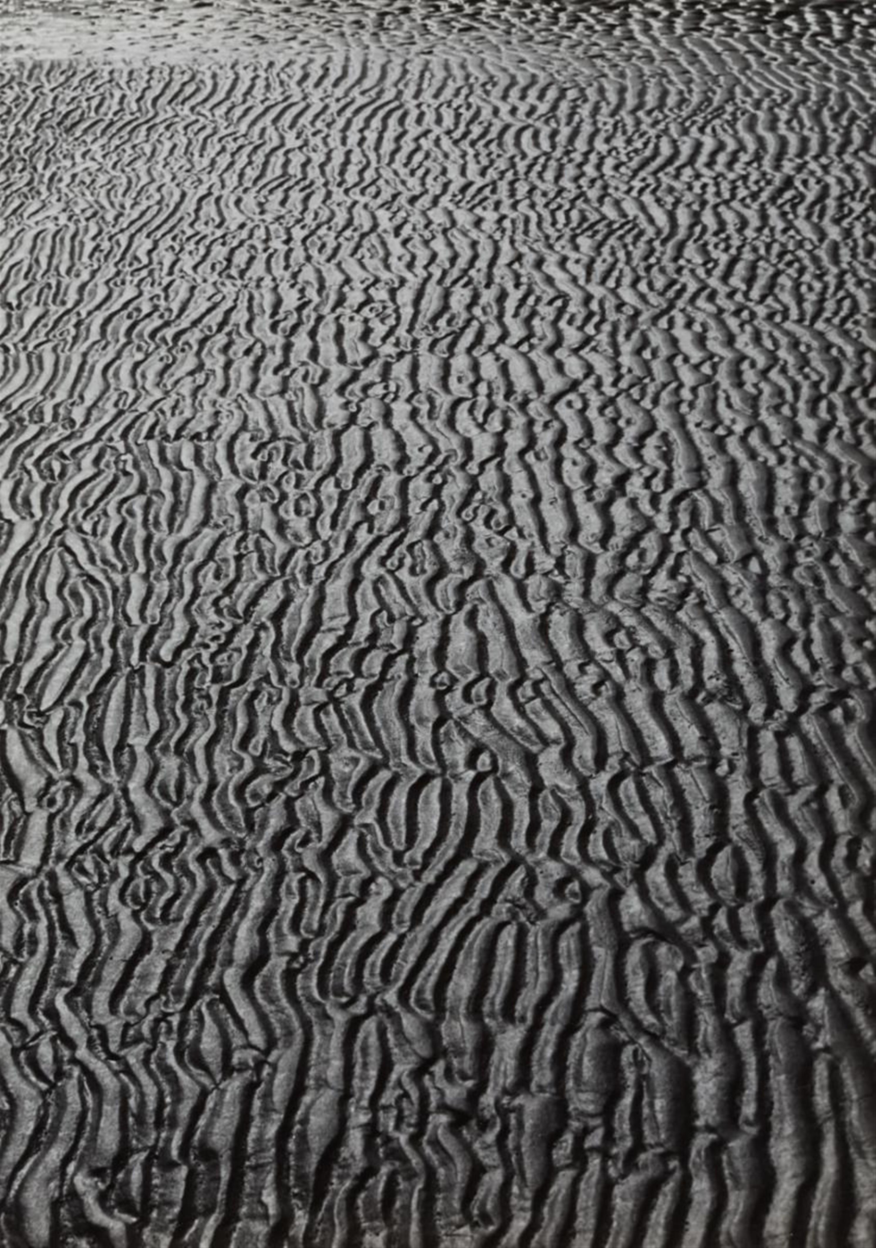 Alfred Ehrhardt - Untitled (from the series: Das Watt [The Wadden Sea]) - image-1