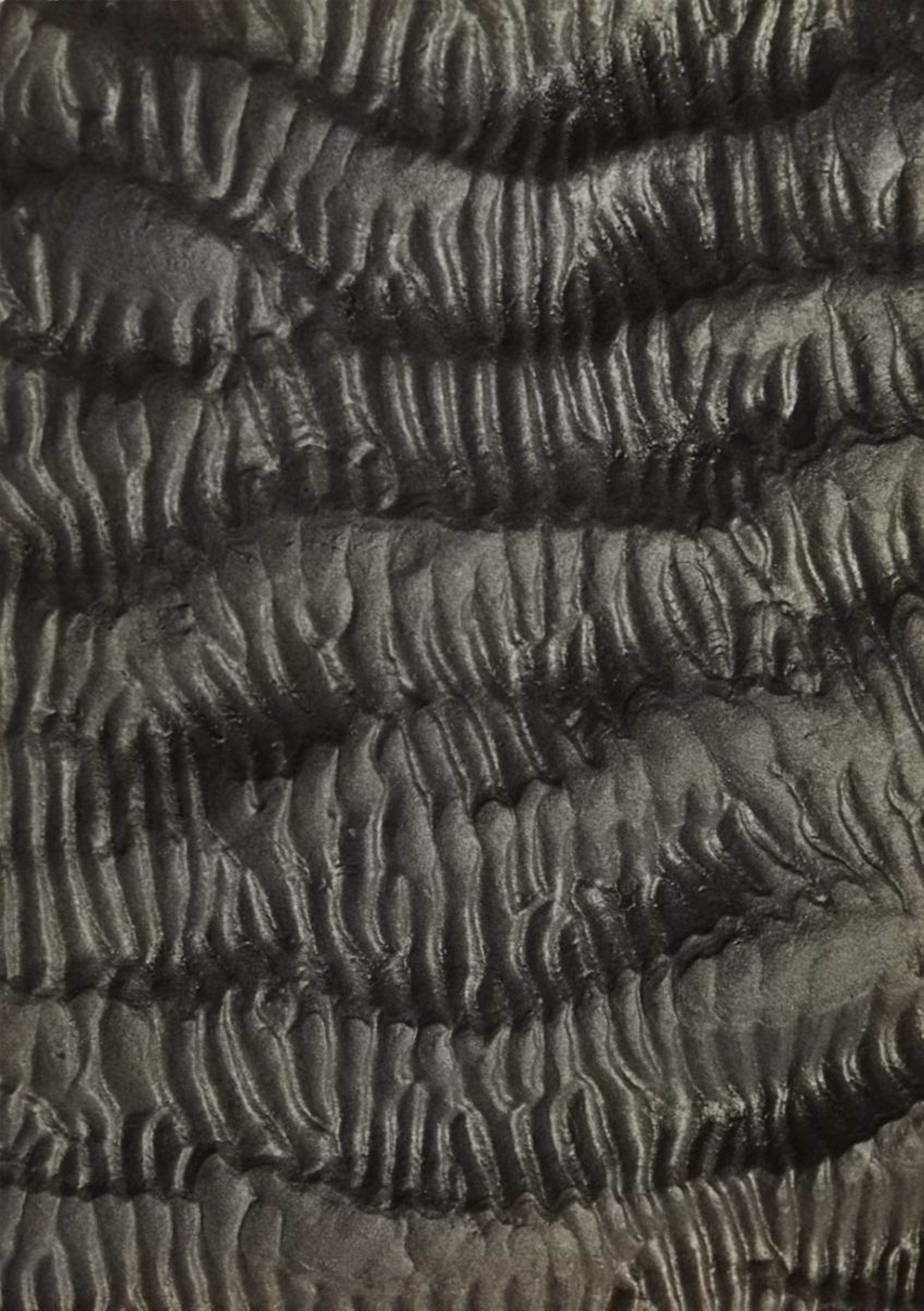 Alfred Ehrhardt - Grobe Längswellen mit feinen Querwellen (aus der Serie: Das Watt) (Heavy longitudinal and fine transverse waves [from the series: The Wadden Sea]) - image-1