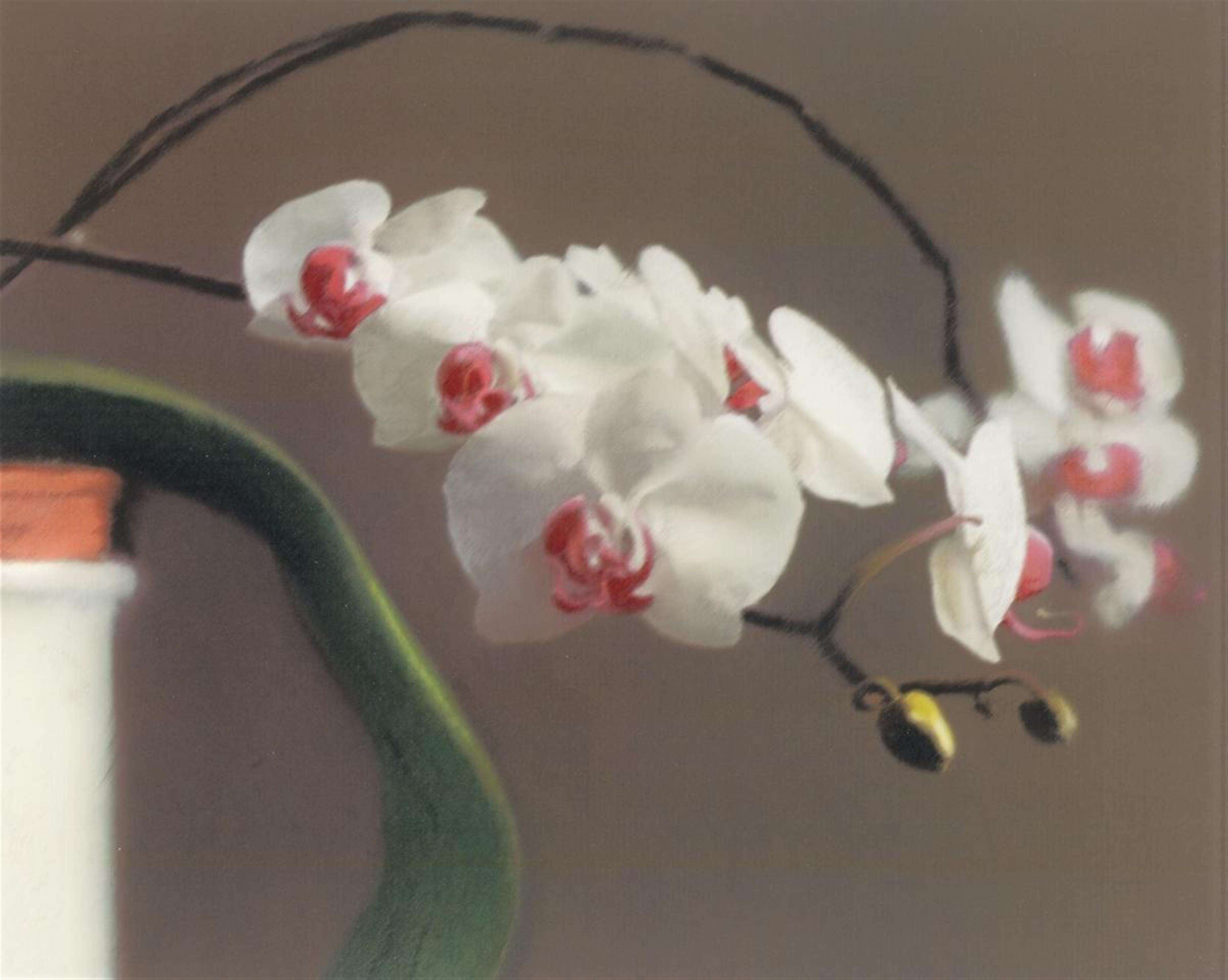 Gerhard Richter - Orchidee II - image-1