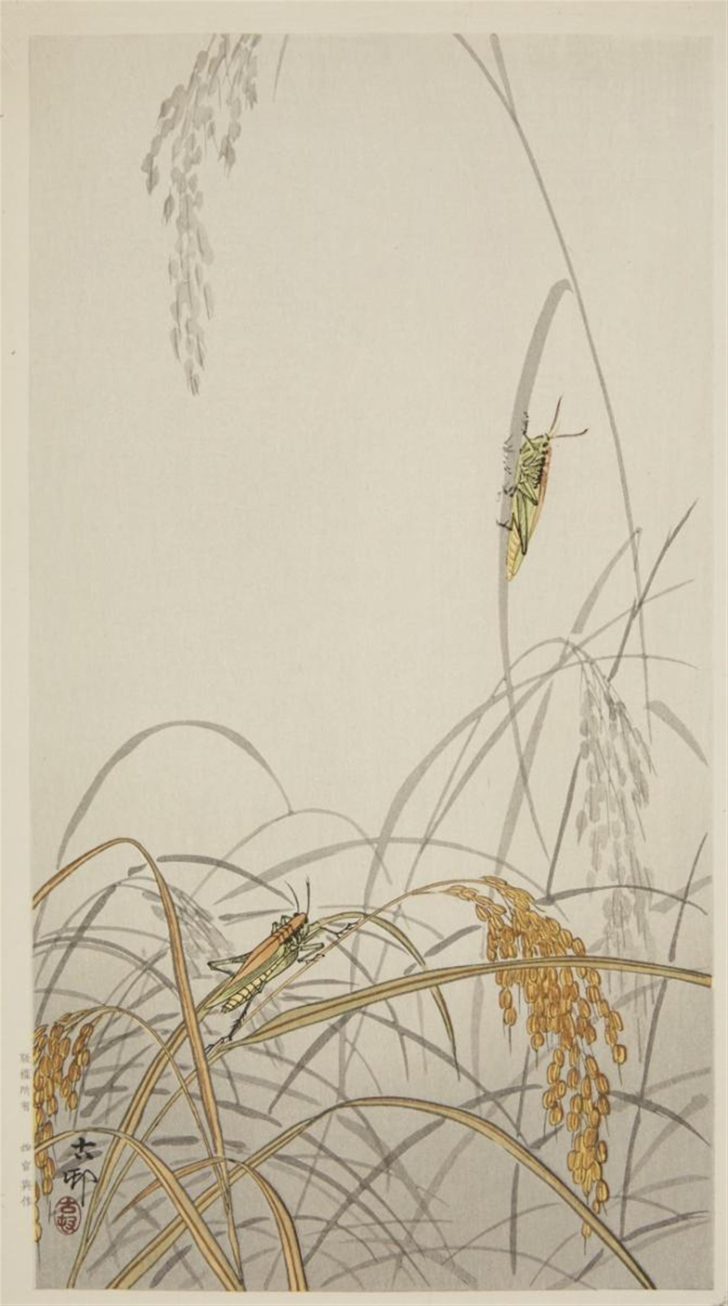 Ohara Shoson - Two otanzaku. a) Two grasshoppers on rice plants. Signed: Koson. Seal: Koson. Publisher: Nishinomiya Yosaku. b) Two ducks sleeping on water beneath a full moon. Signed: Koson. S... - image-3