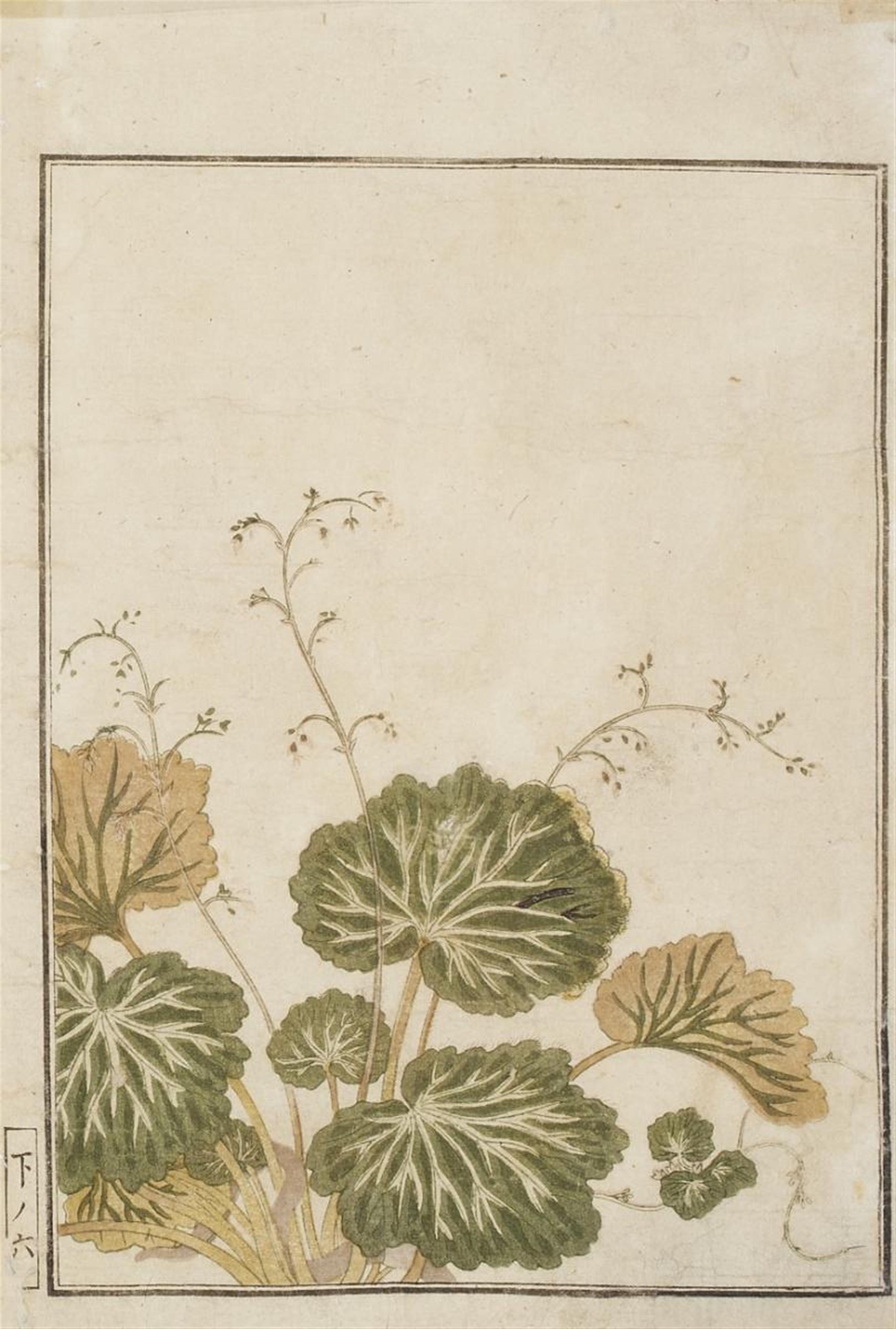 Ooka Michinobu - Ooka Michinobu (act. 1720s-1740) and others - image-2
