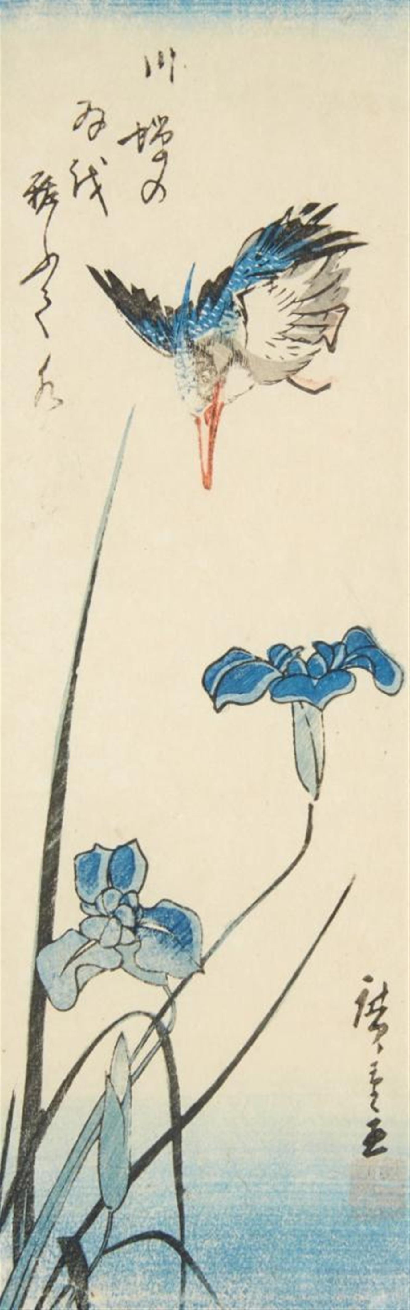 Utagawa Hiroshige - Chutanzaku. Kingfisher flying above an iris. Poem above the imge (Kawasemi no/ hane o yosoute/ mizu kagami). The last three characters (kagami) are missing. Signed: Hiroshige ga... - image-1