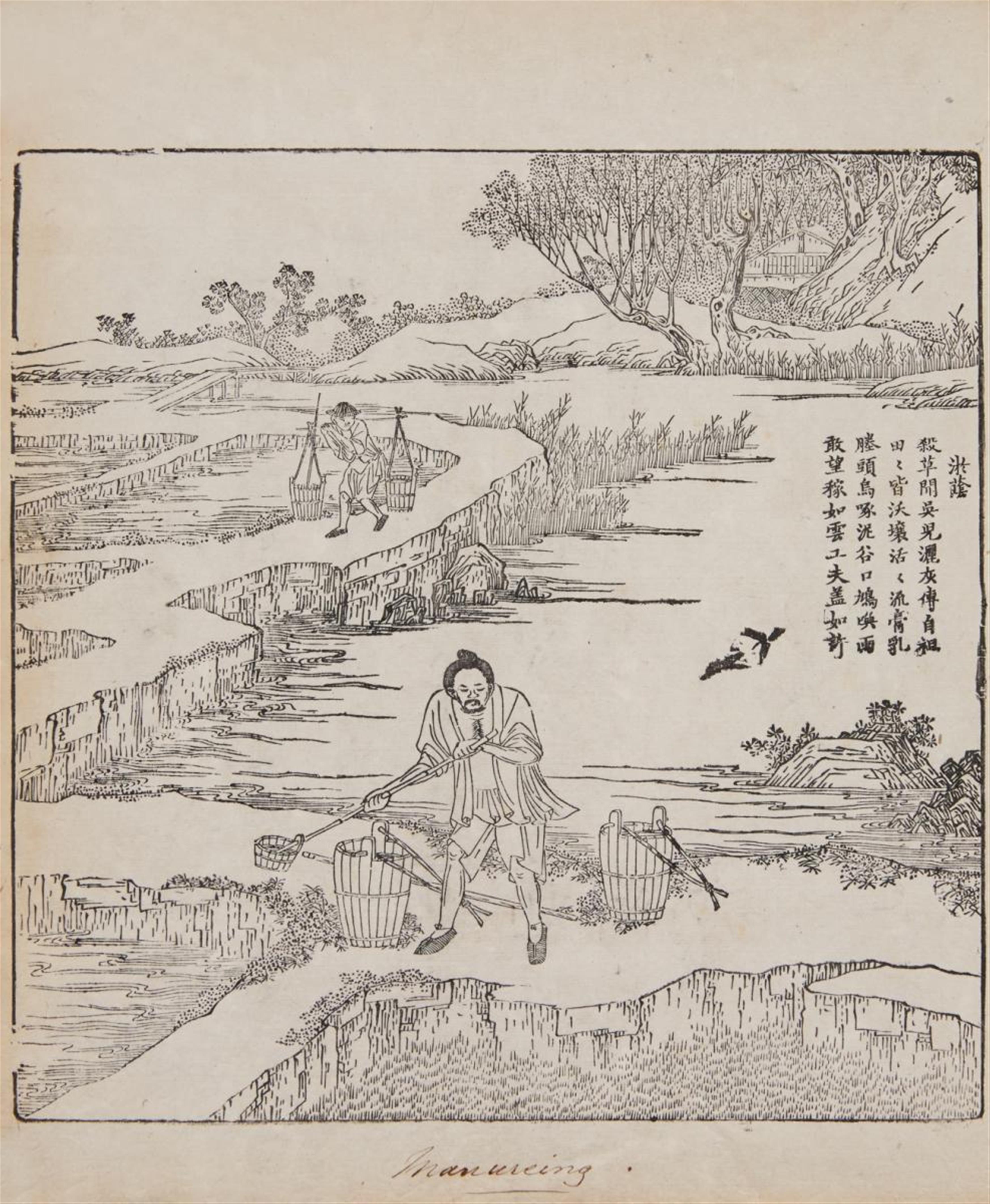 Jiao Bingzhen . Qing dynasty - The first volume of Gengzhi tu (Pictures of Tilling and Weaving) with illustrations of rice-planting activities yet without the imperial poems. European binding. Qing dynasty. - image-2