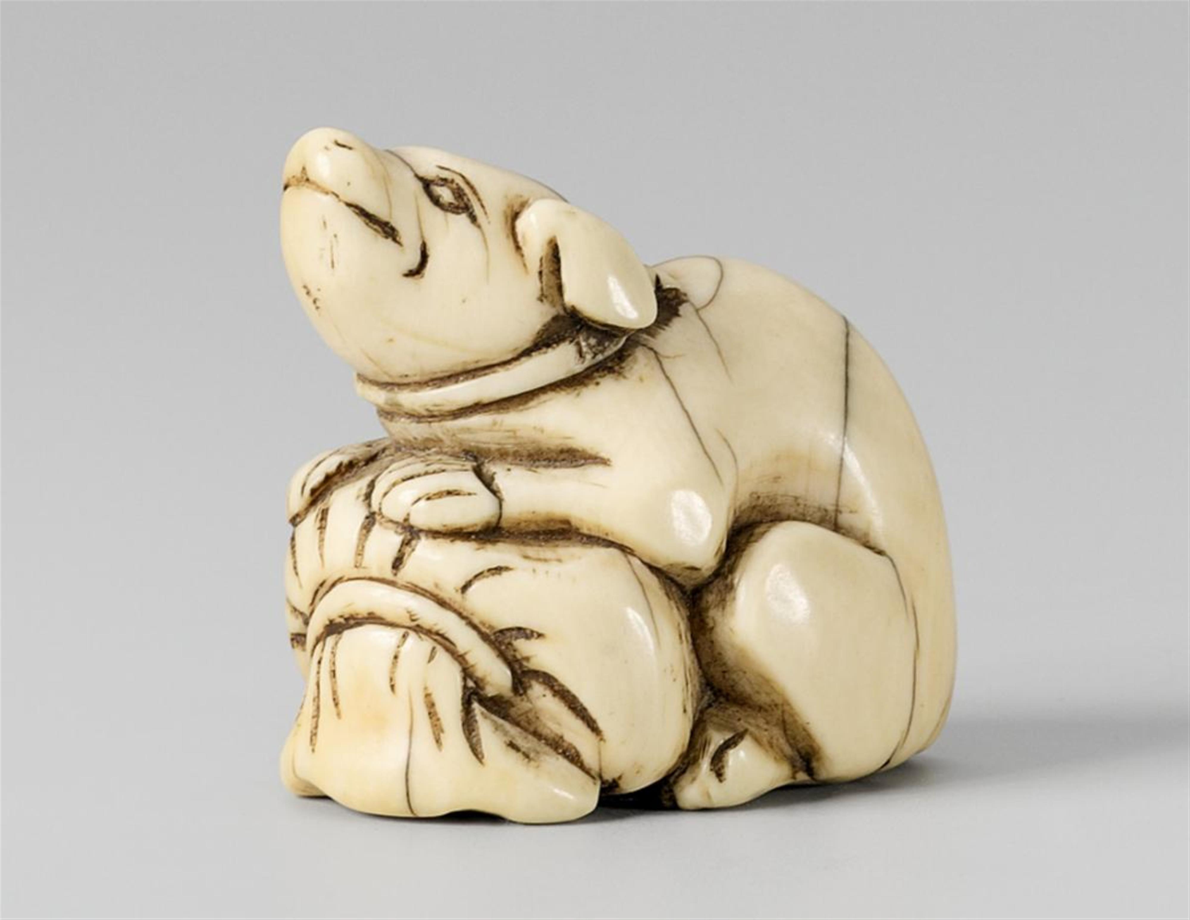 An ivory netsuke of a dog. First half 19th century - image-1