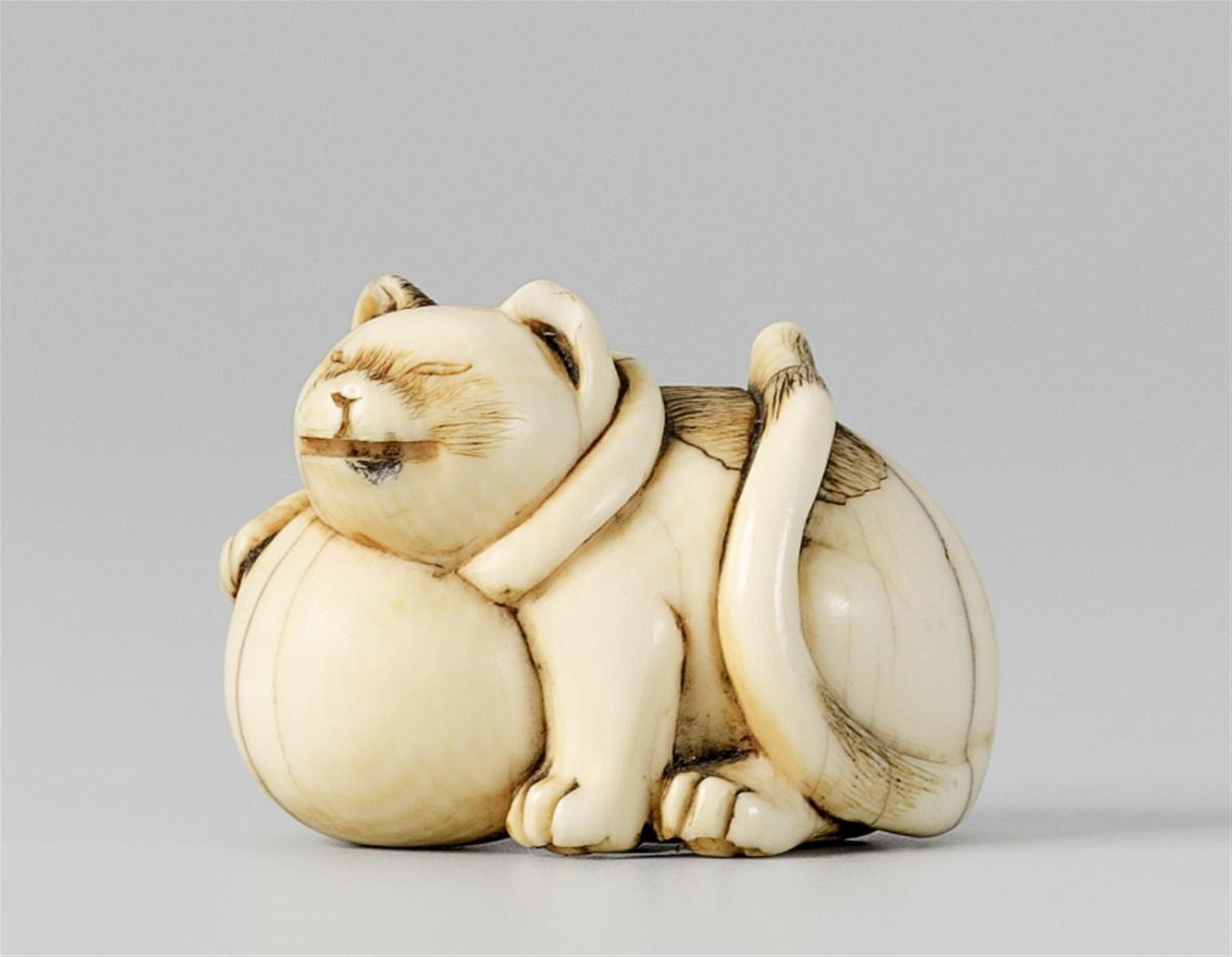 An ivory netsuke of a cat. Mid 19th century - image-1