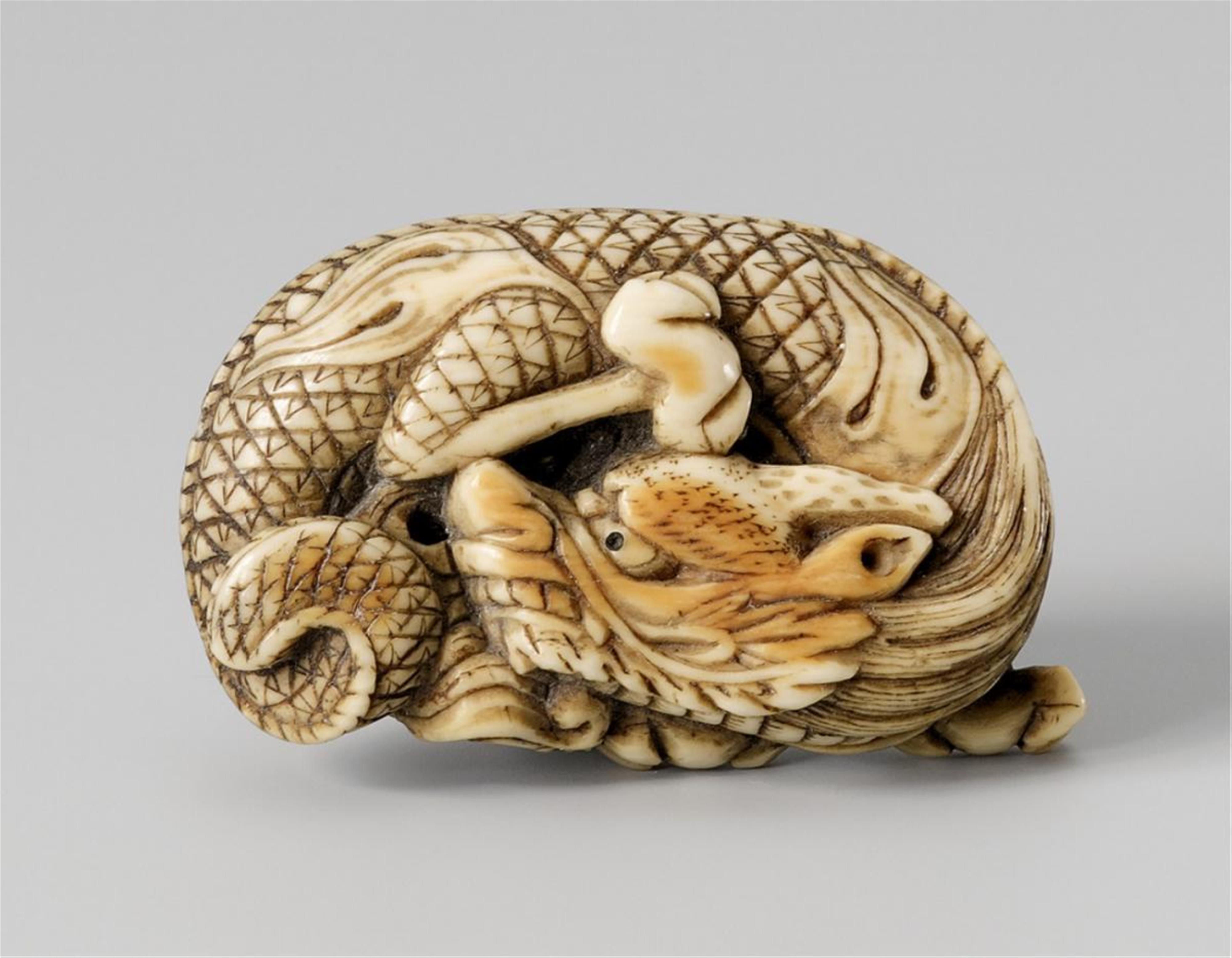 An ivory netsuke of a coiled dragon. Around 1800 - image-1