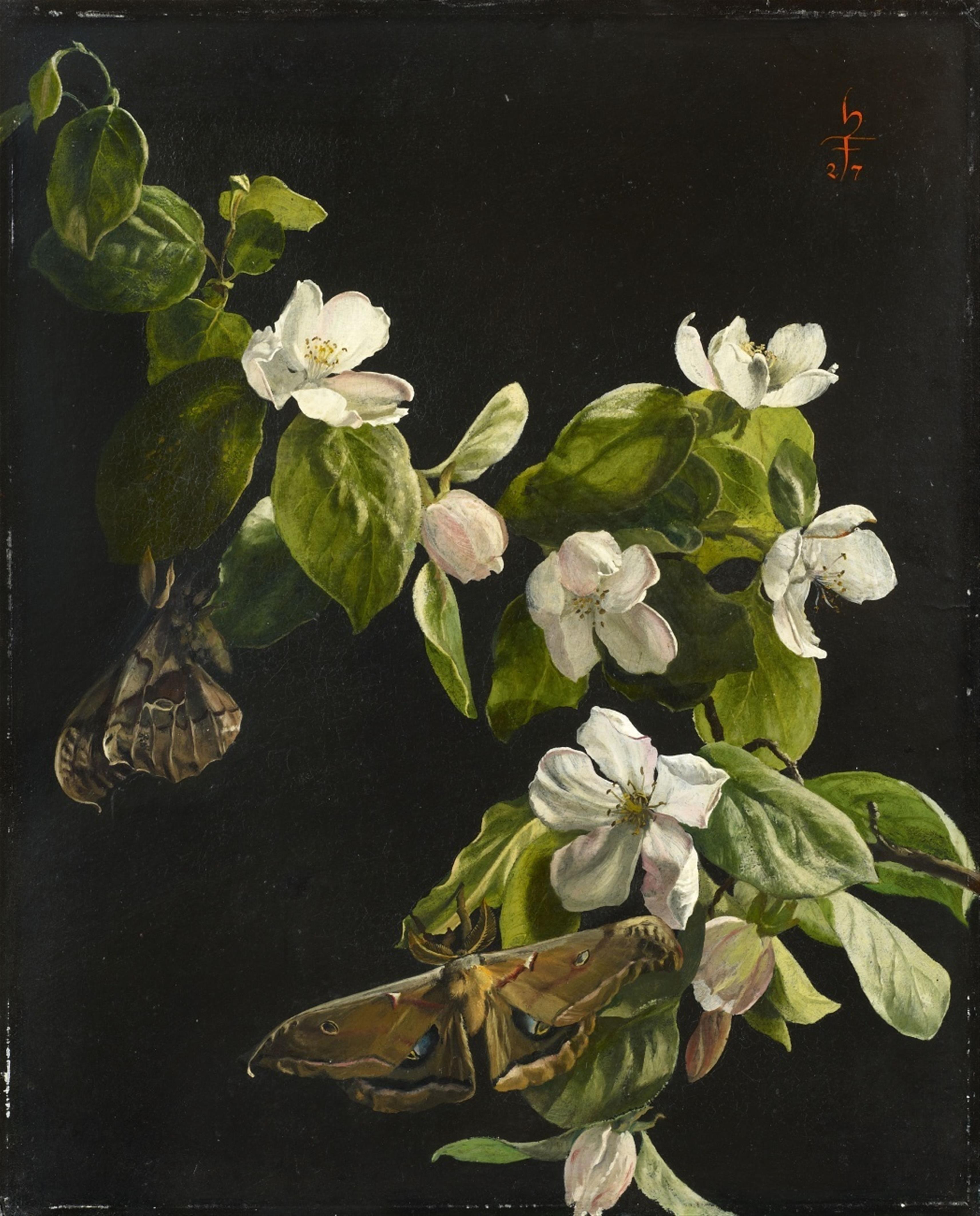 Hans Frank - Quince Flowers and Butterflies - image-1