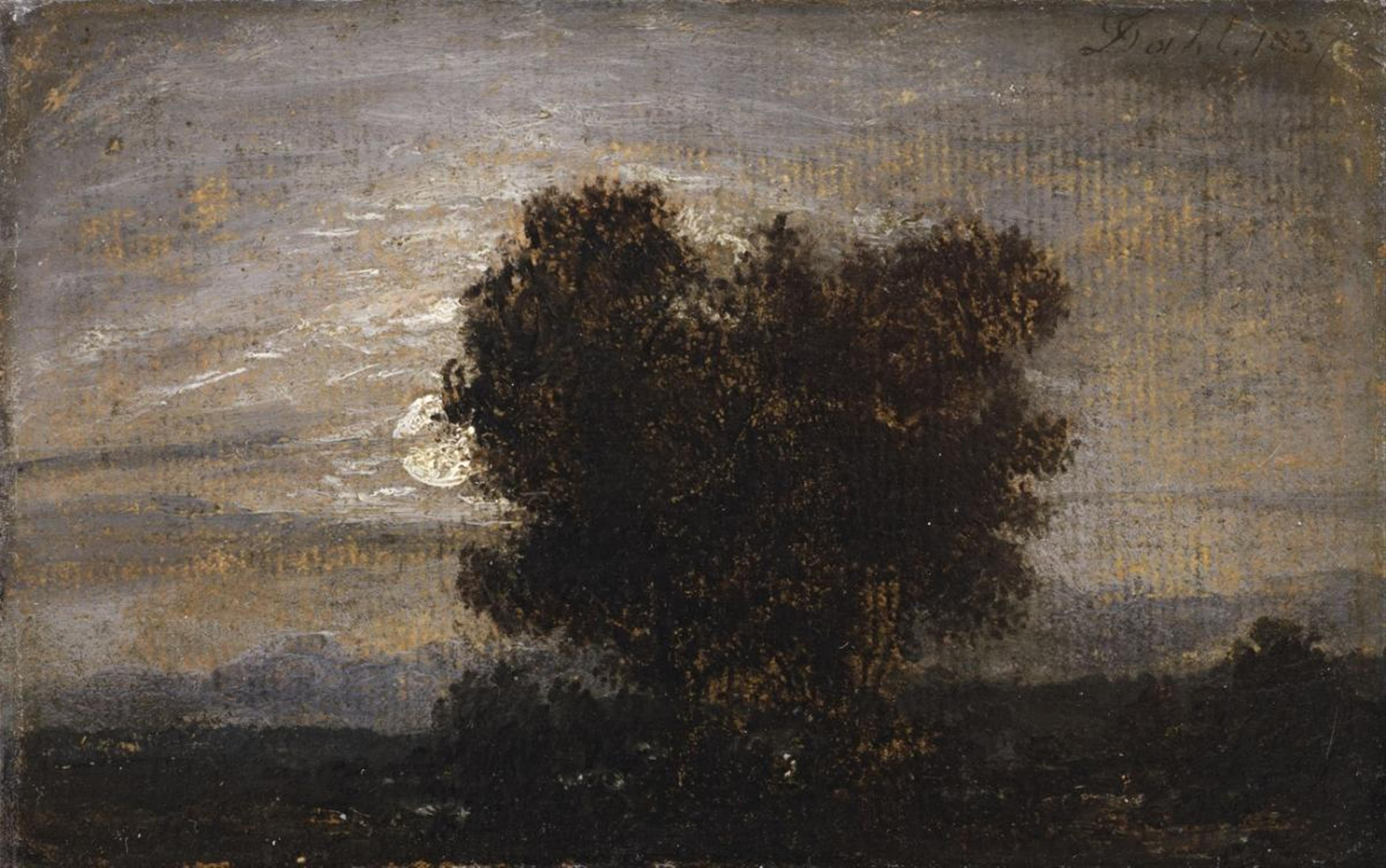 Johan Christian Clausen Dahl - Bäume im Mondschein - image-1