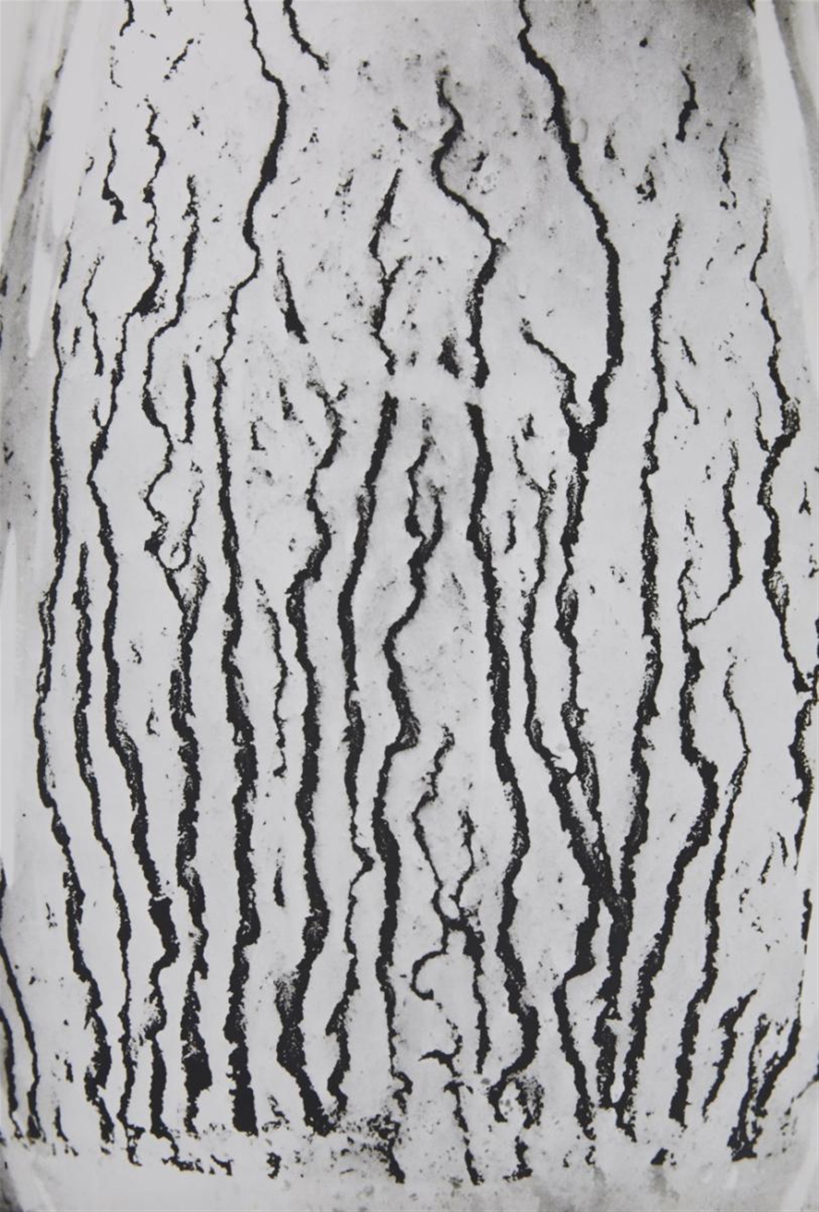 Man Ray - Les vois lactées - image-3