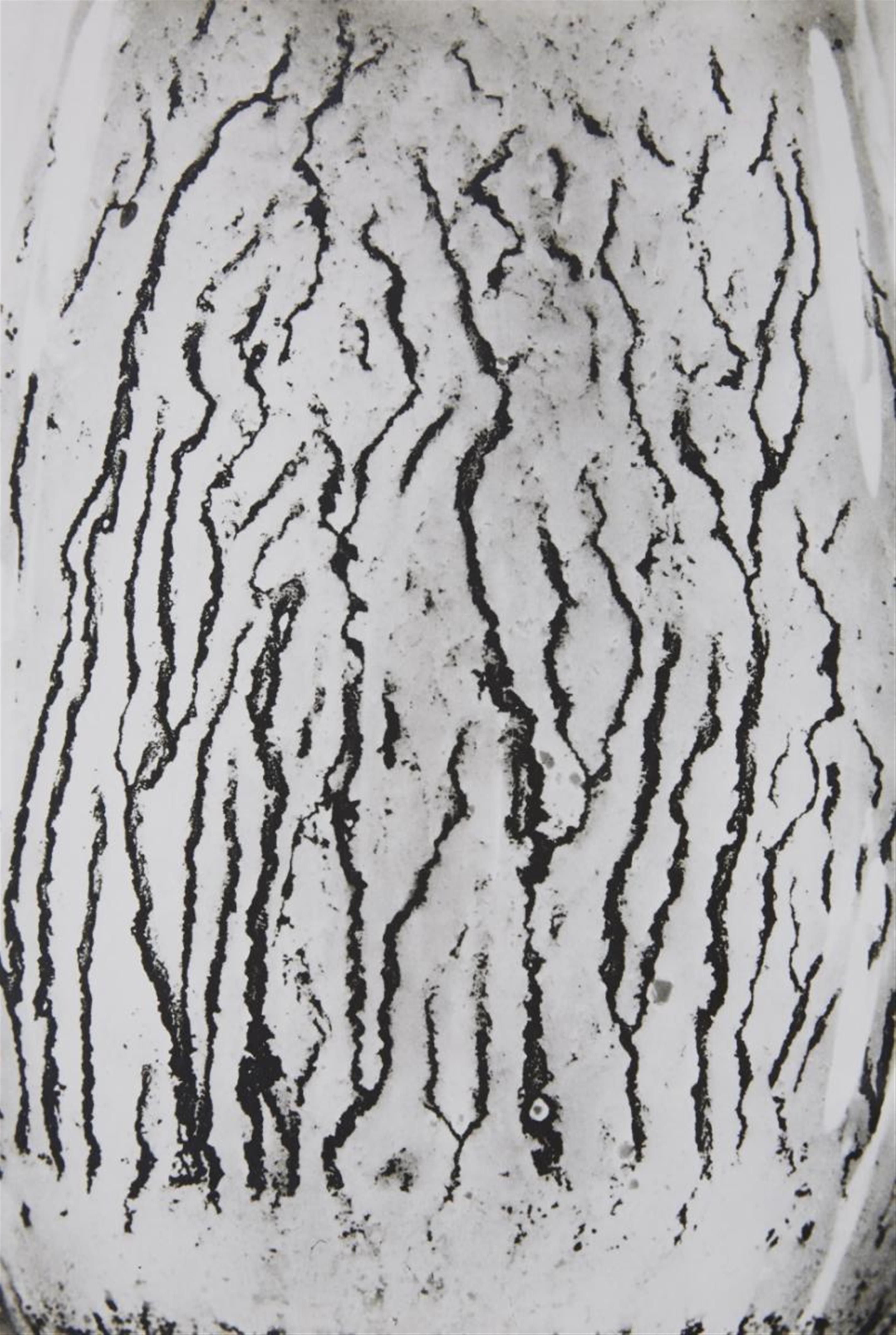 Man Ray - Les vois lactées - image-4