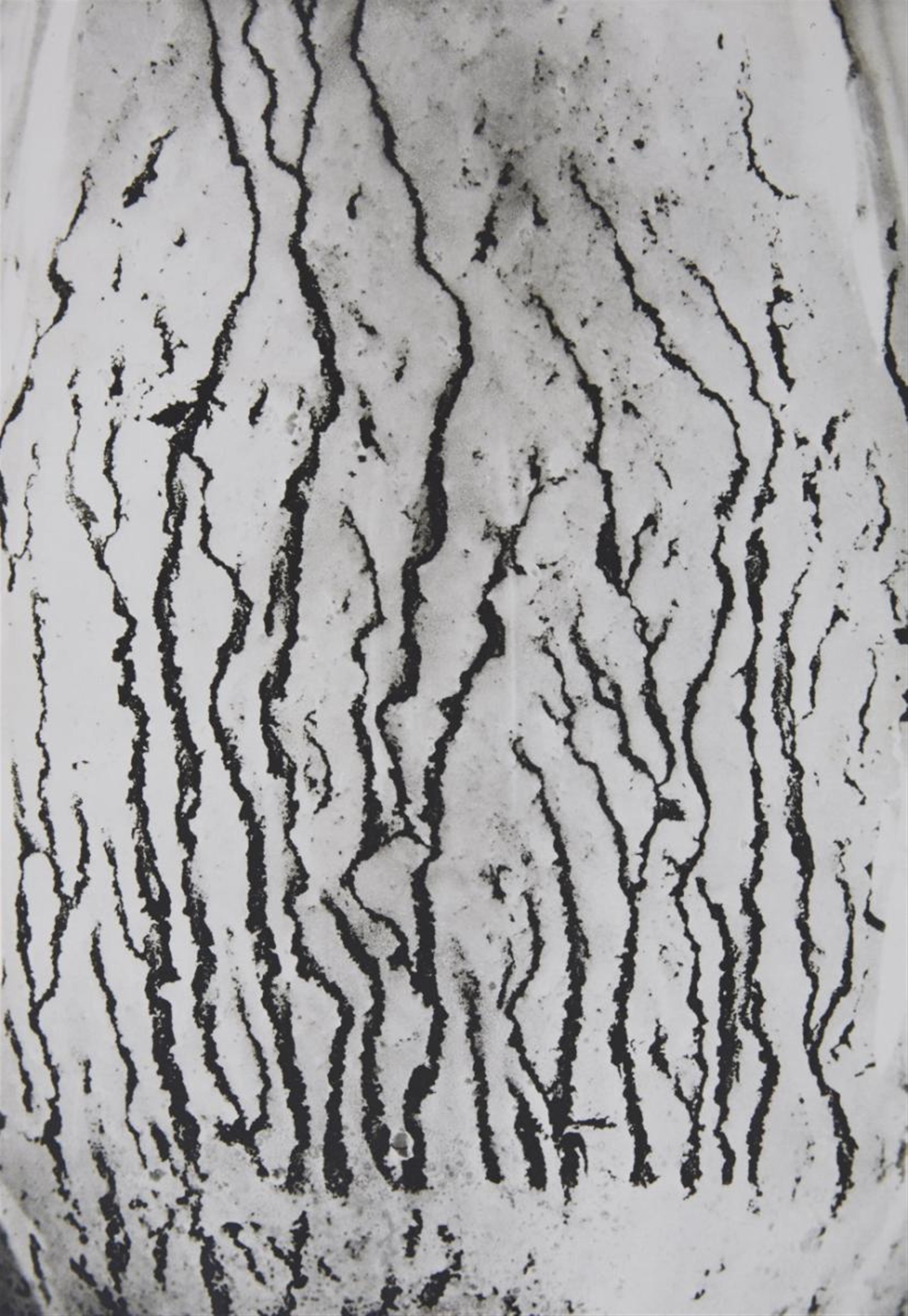 Man Ray - Les vois lactées - image-5