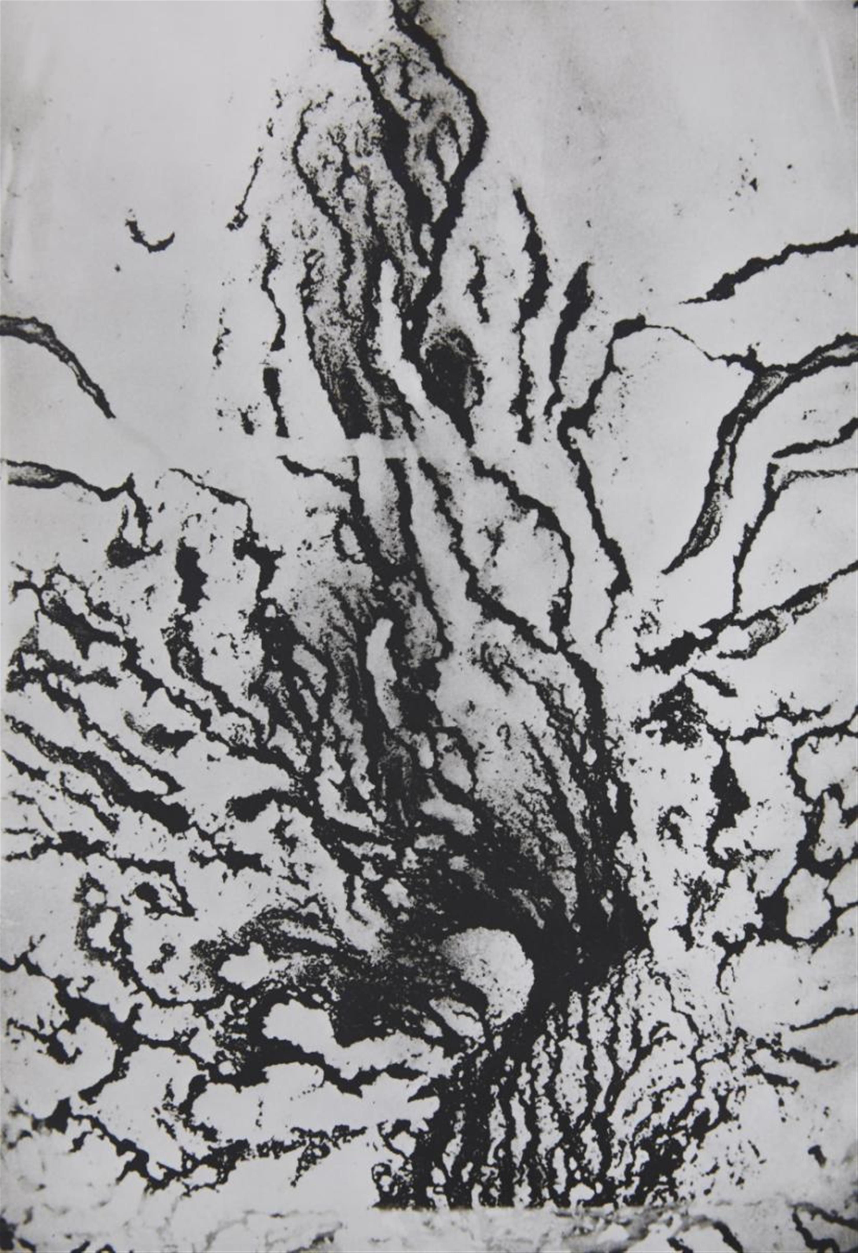 Man Ray - Les vois lactées - image-6