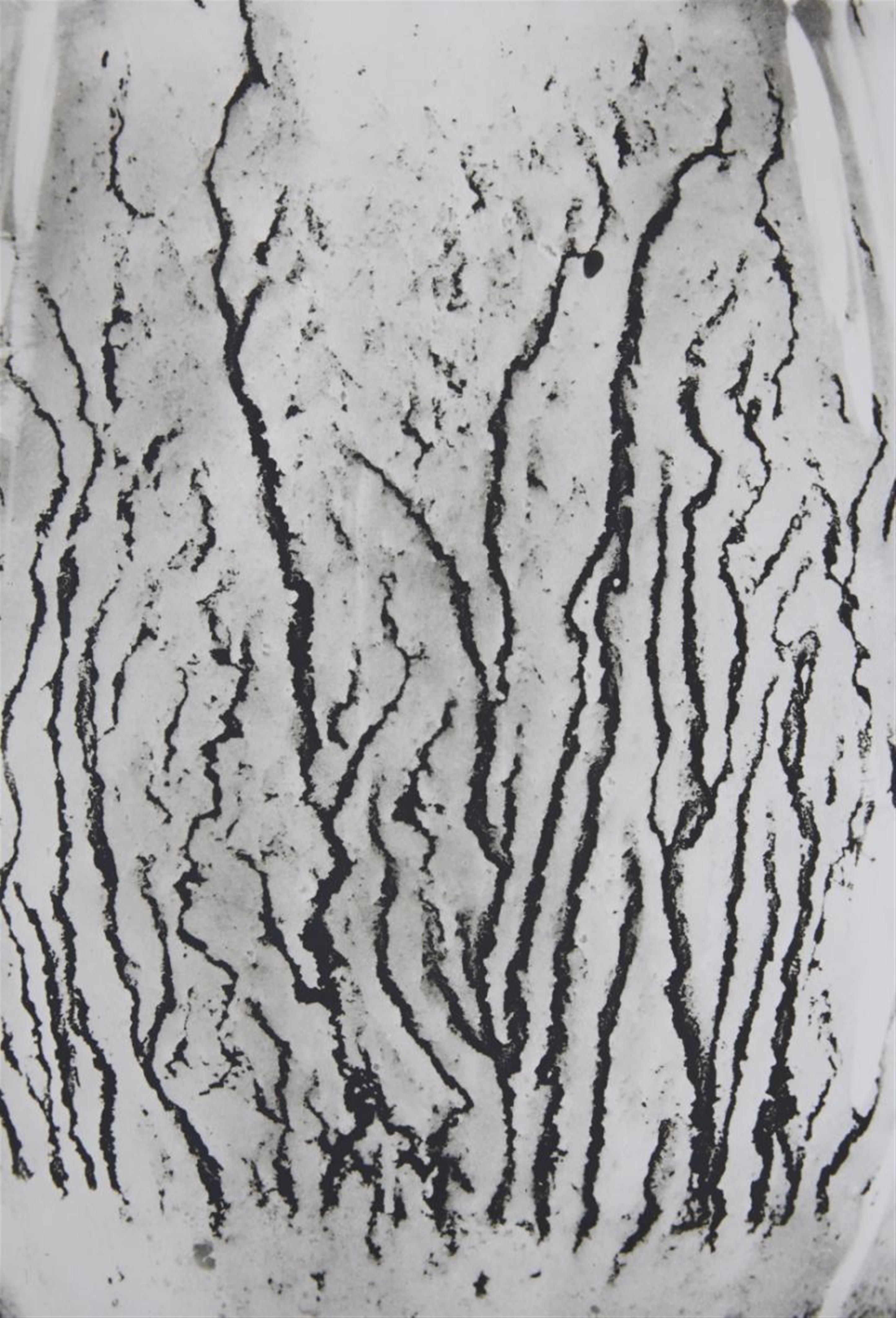 Man Ray - Les voies lactées - image-8