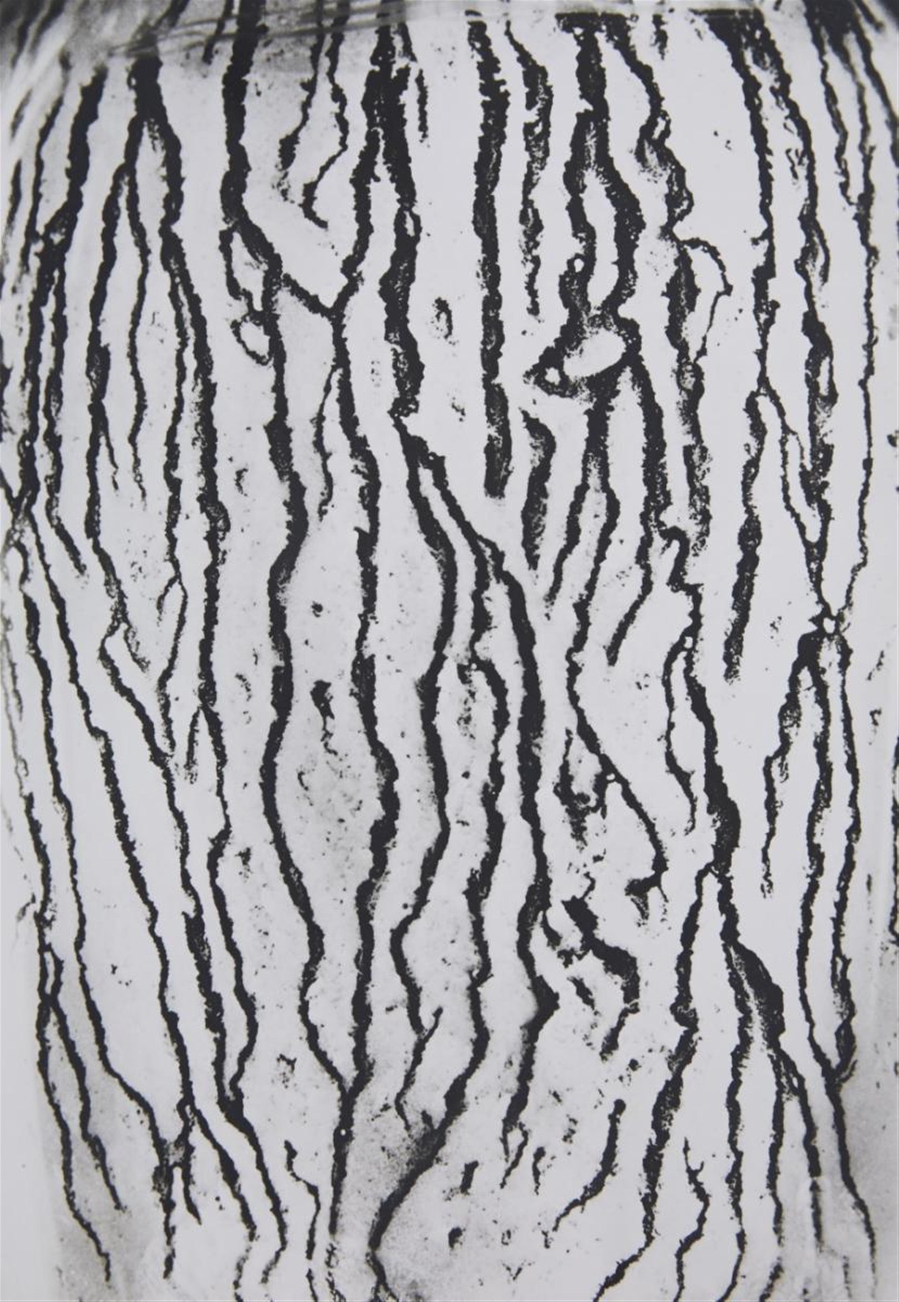 Man Ray - Les voies lactées - image-9