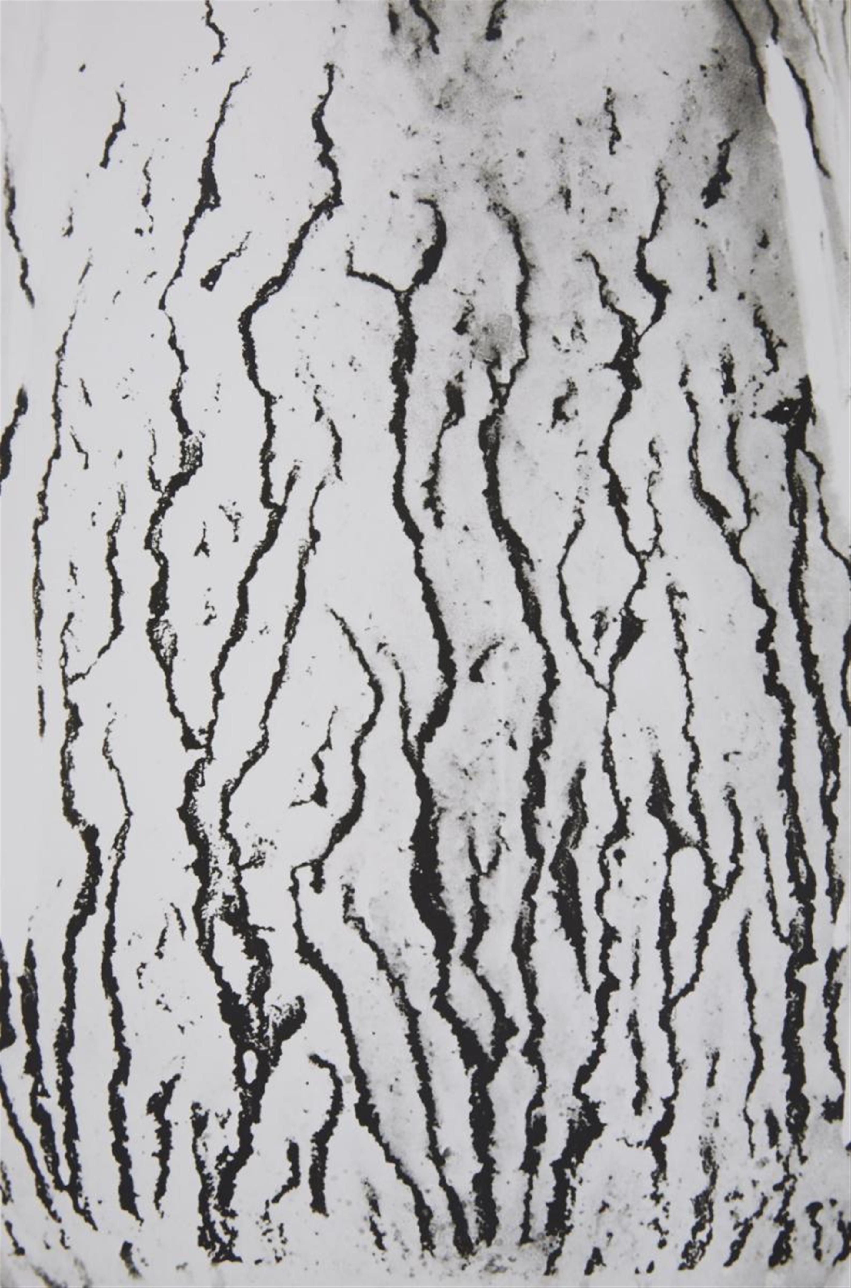 Man Ray - Les vois lactées - image-11