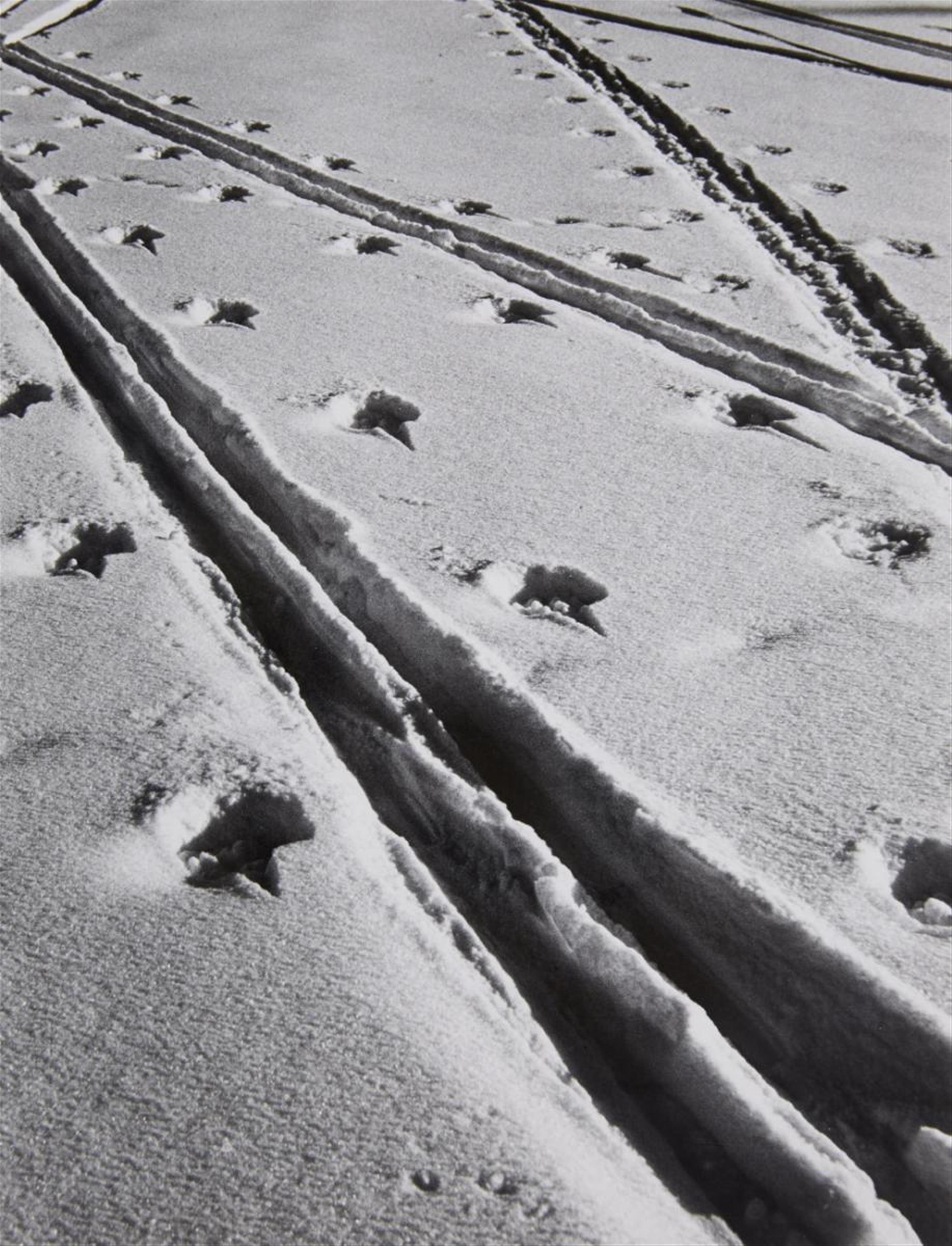 Siegfried Lauterwasser - Untitled (Tracks in the snow) - image-1