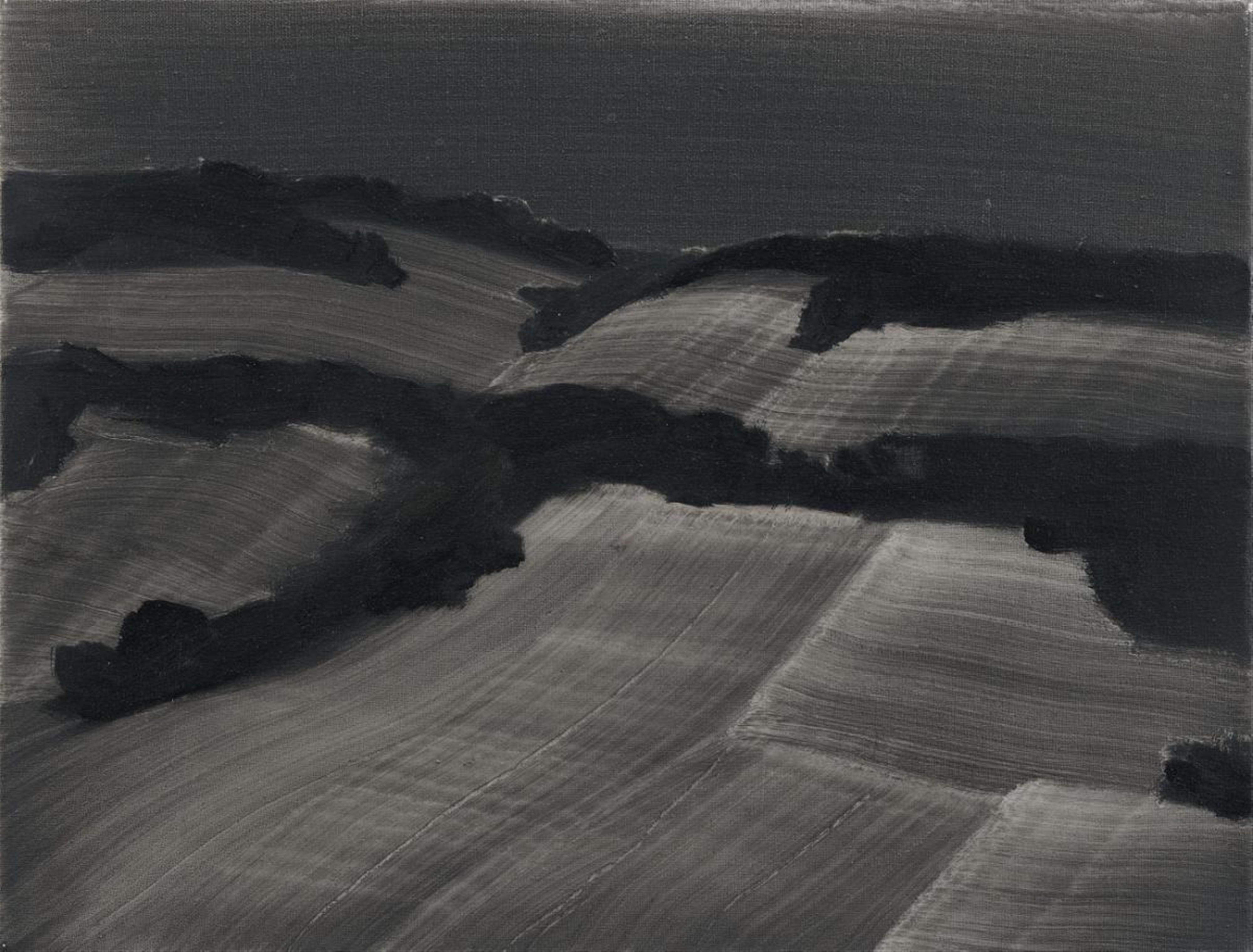 Rafal Bujnowski - Ohne Titel (Night landscape) - image-1