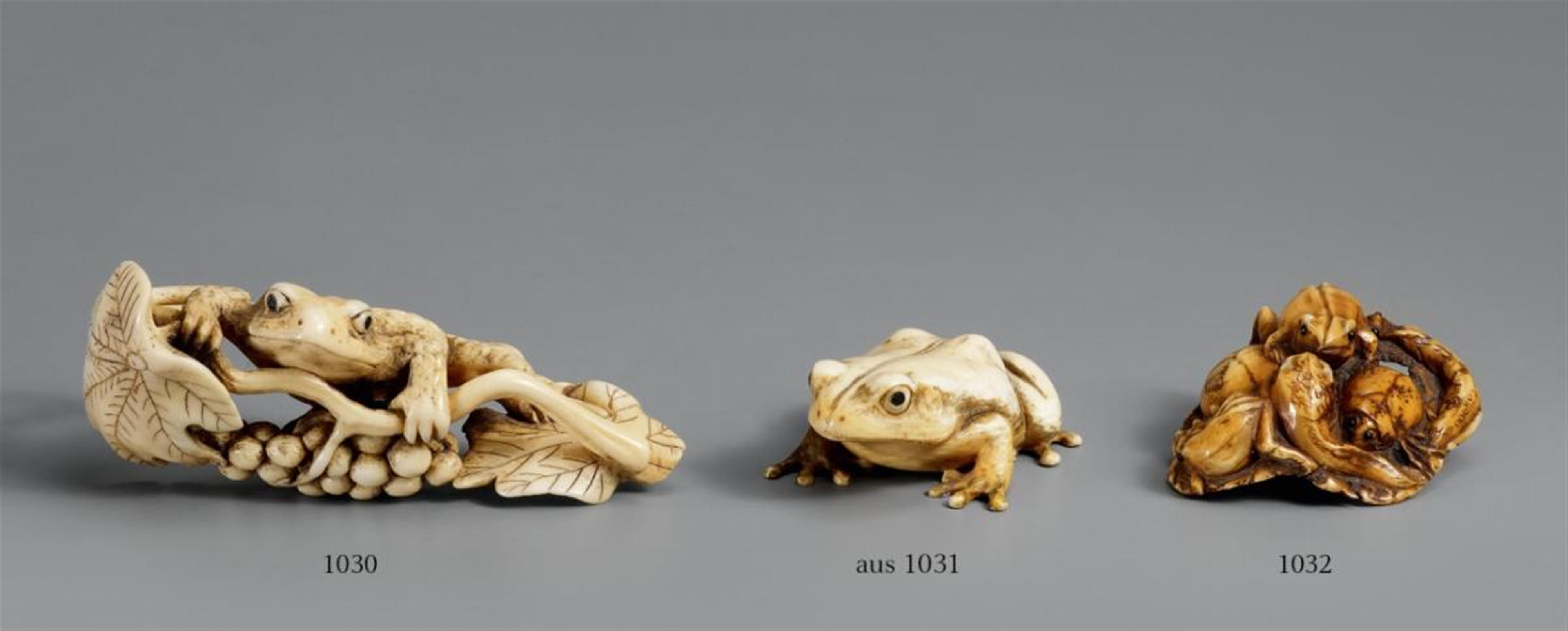 An okimono-type ivory netsuke of a toad in vines. Second half 19th century - image-1