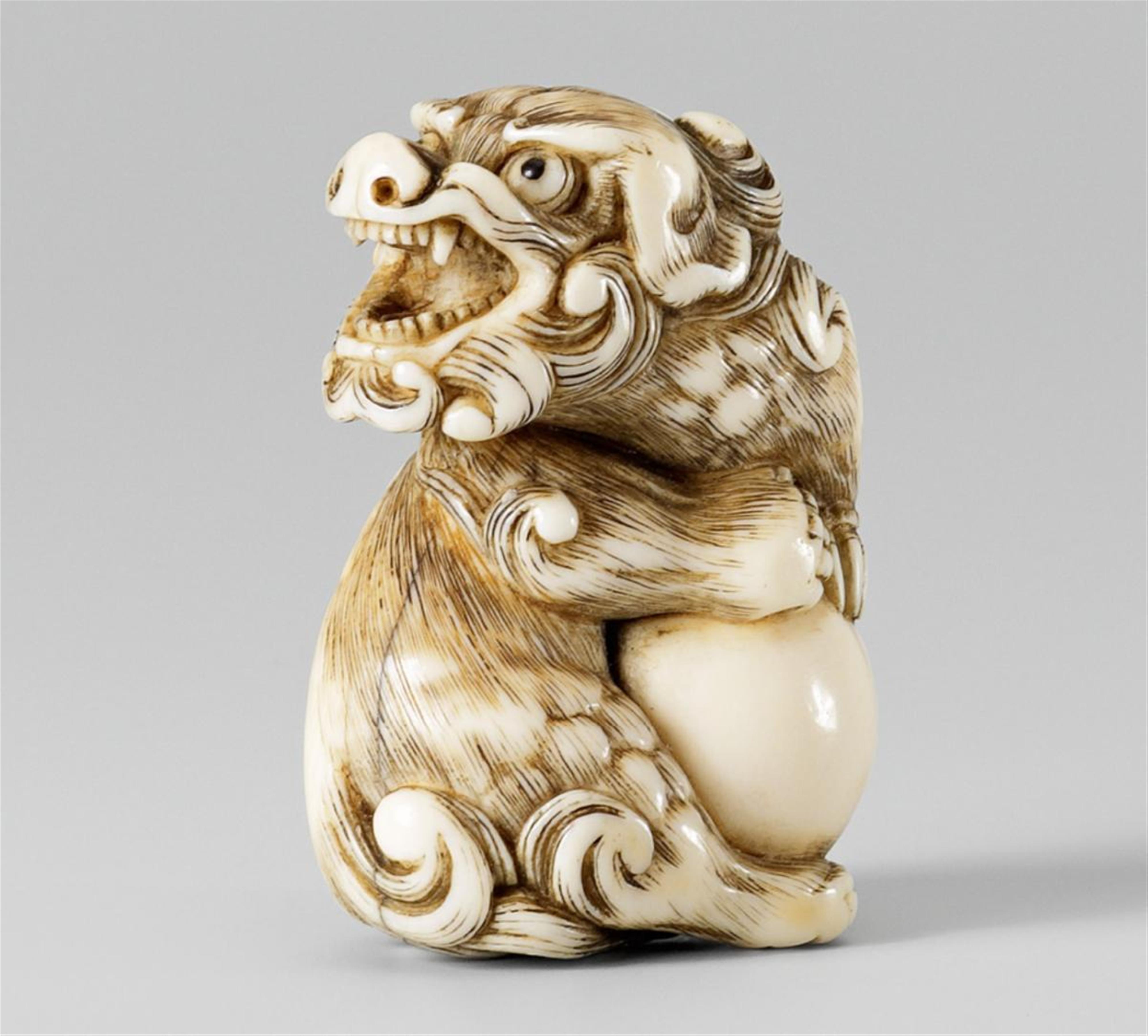 A Kyoto school ivory netsuke of a spirited shishi with a huge ball, by Mitsuharu. Late 18th/early 19th century - image-1