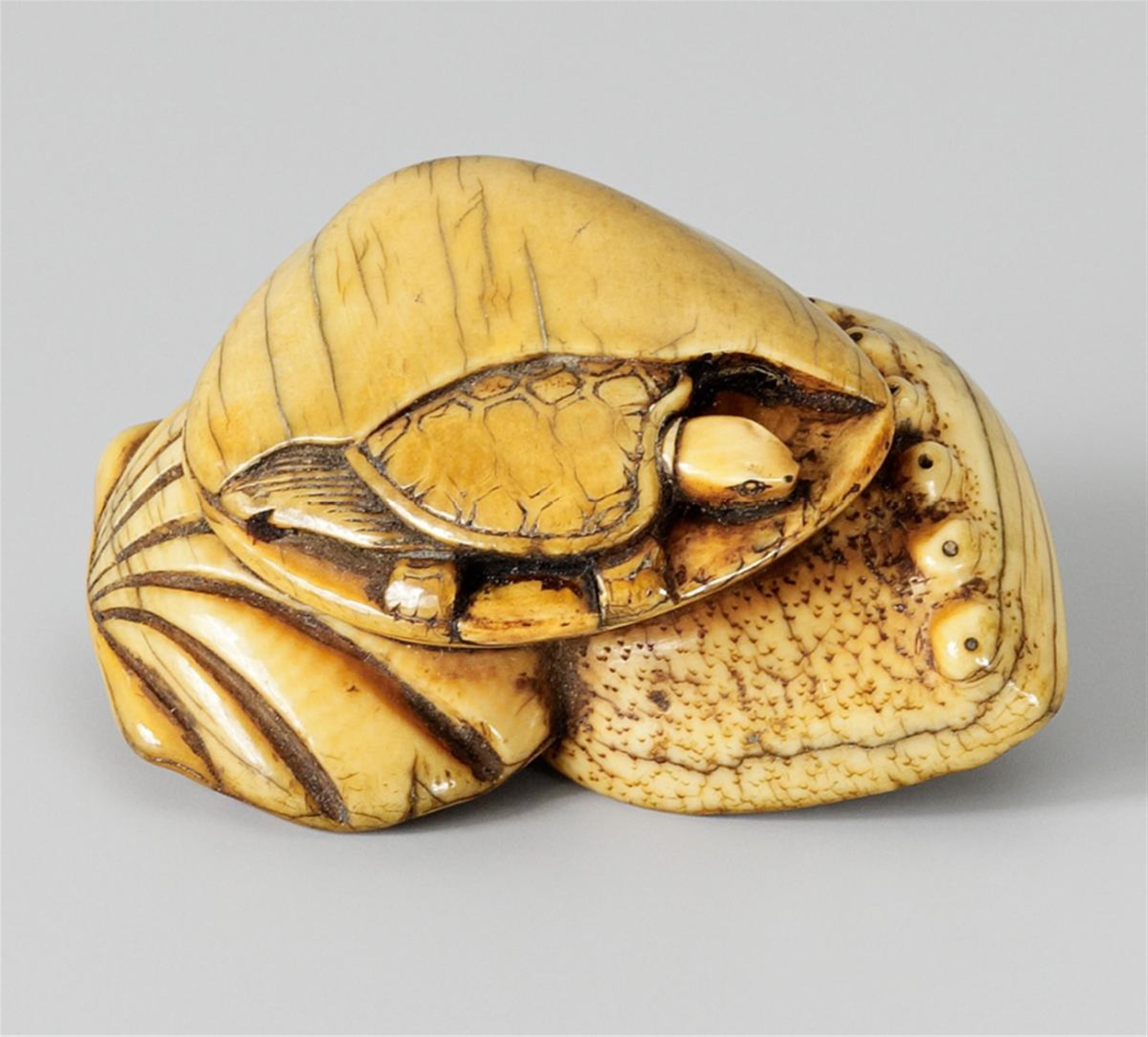 A well-worn and patinated ivory netsuke of a minogame and three seashells. Around 1800 - image-1