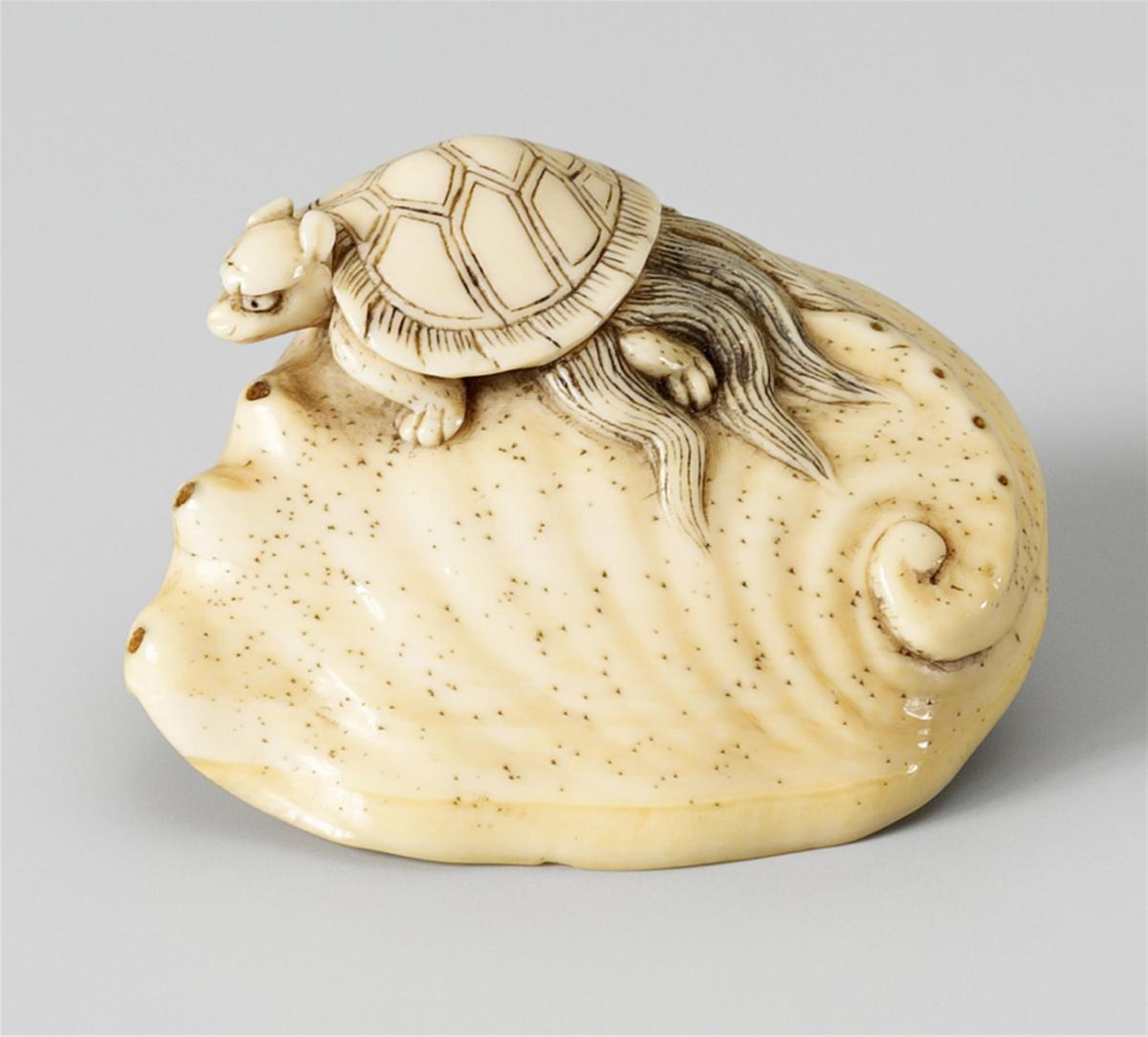 A large ivory netsuke of a minogame on an awabi. Early 19th century - image-1