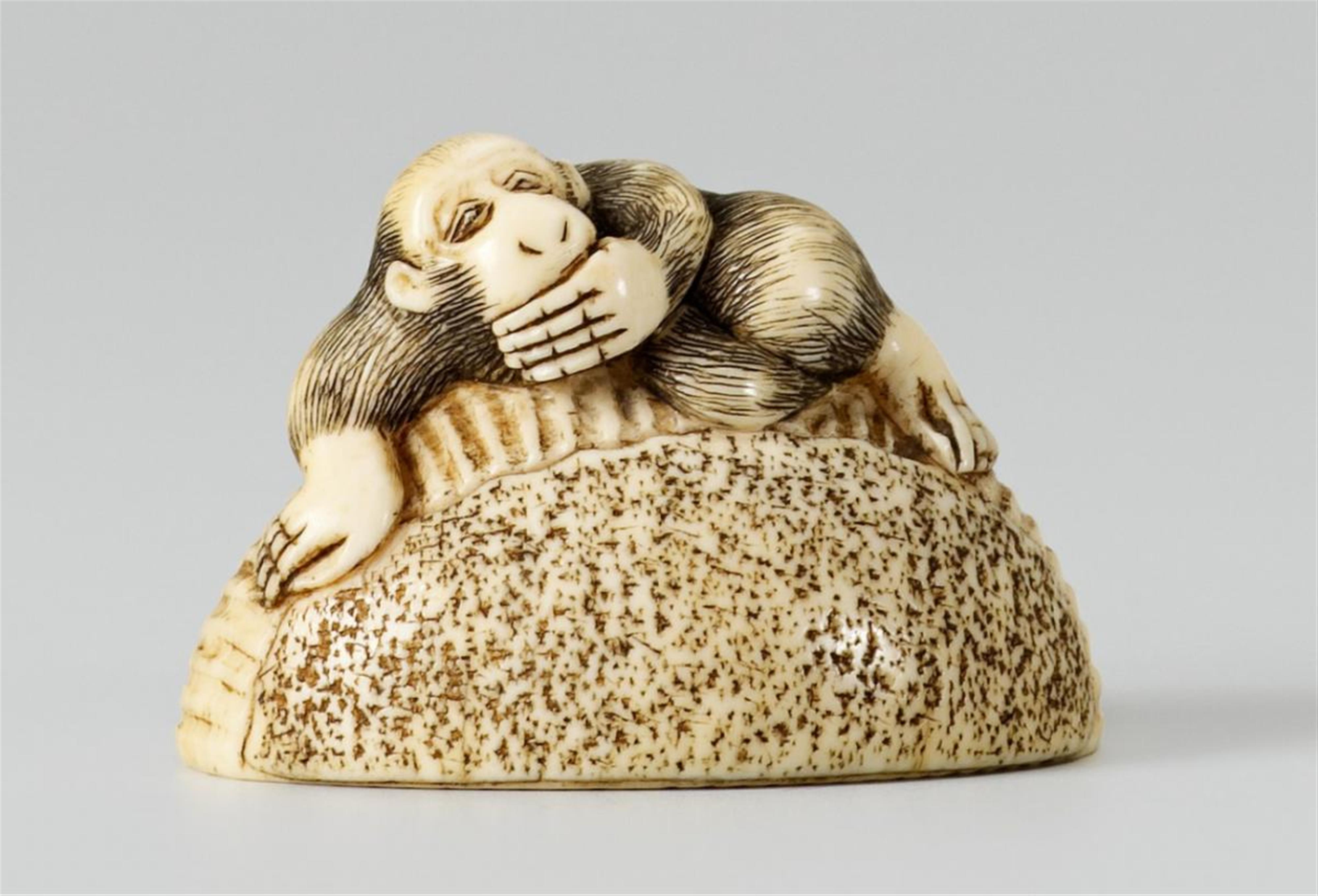 An ivory netsuke of a monkey on a chestnut. Early 19th century - image-1