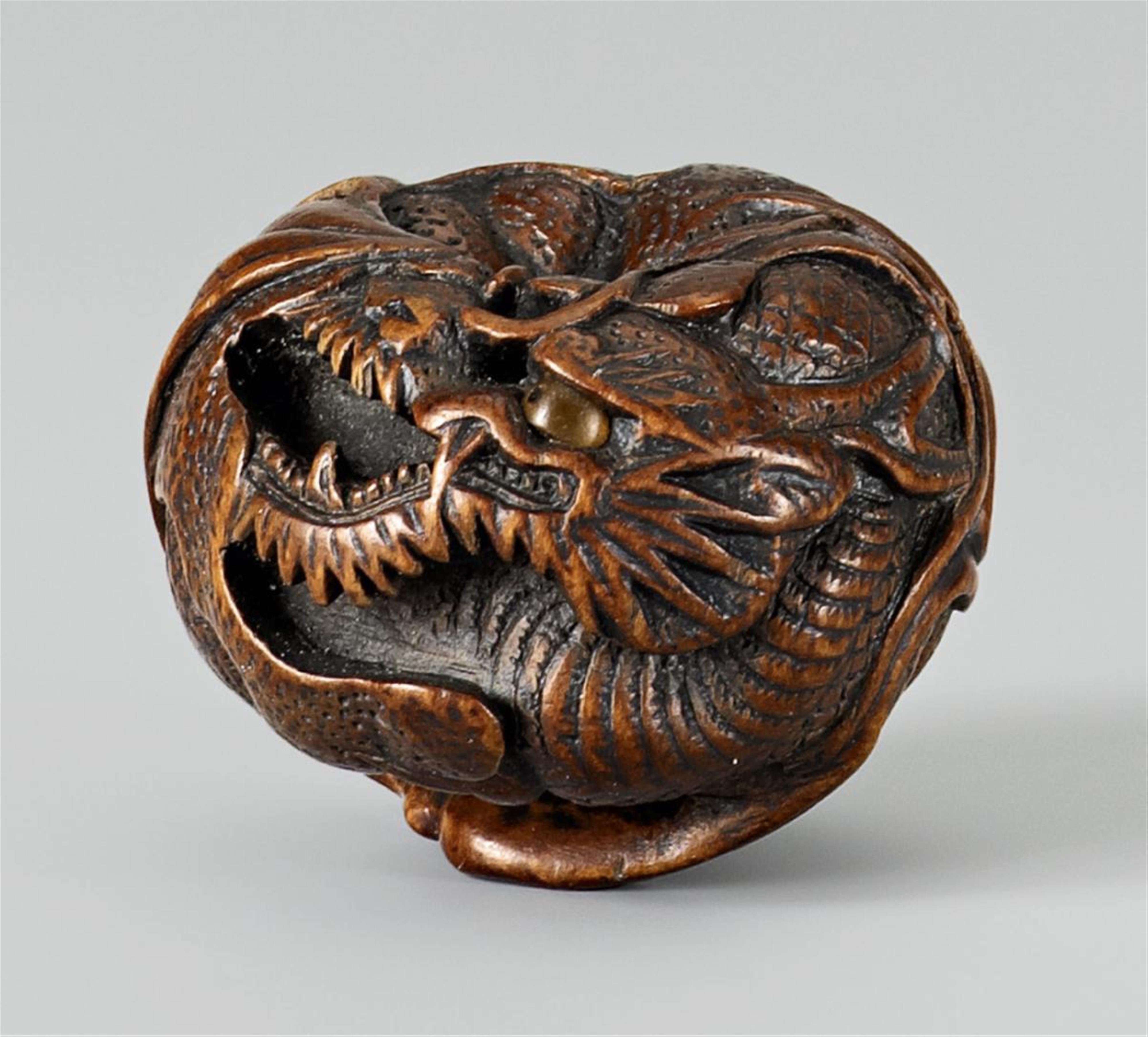 A Tanba school wood netsuke of a dragon in a mikan, by Toyomasa. First half 19th century - image-1