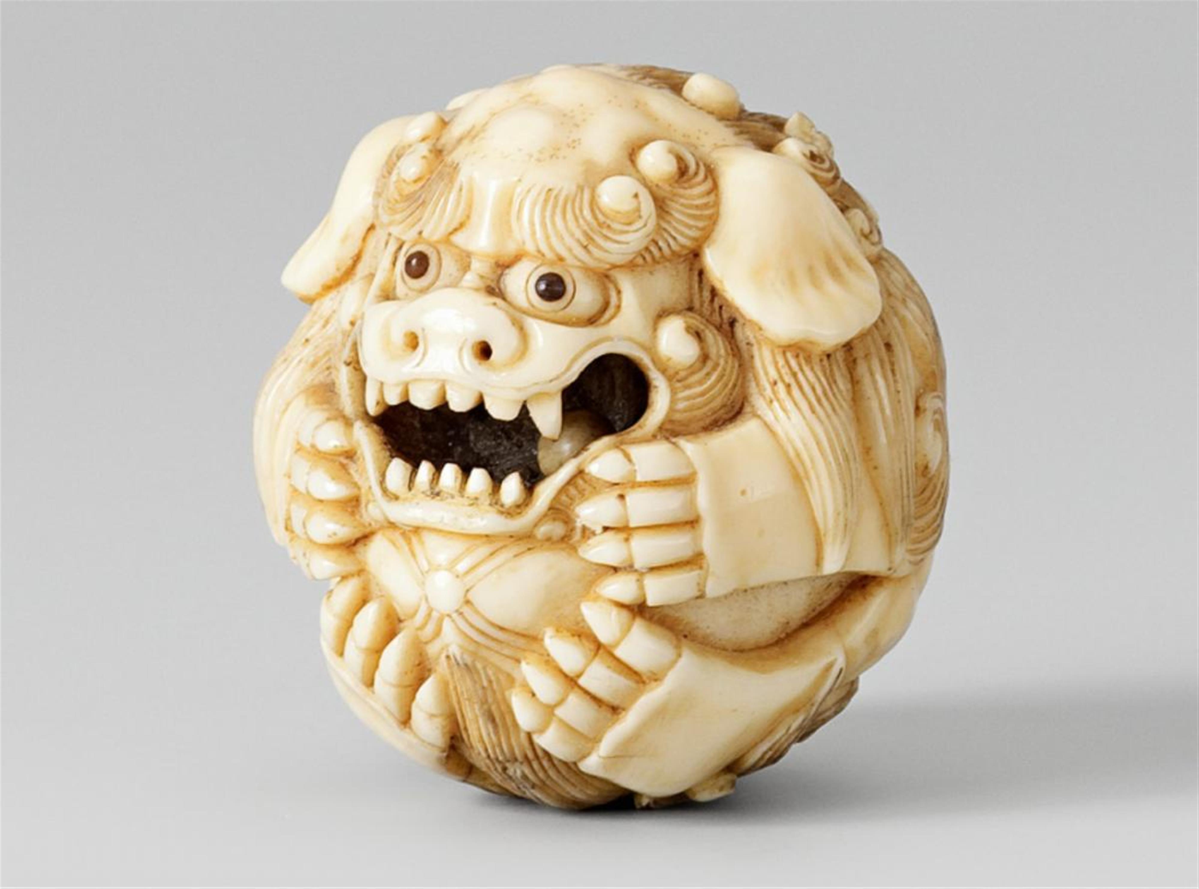 An ivory netsuke of a shishi rolled into a ball. 19th century - image-1