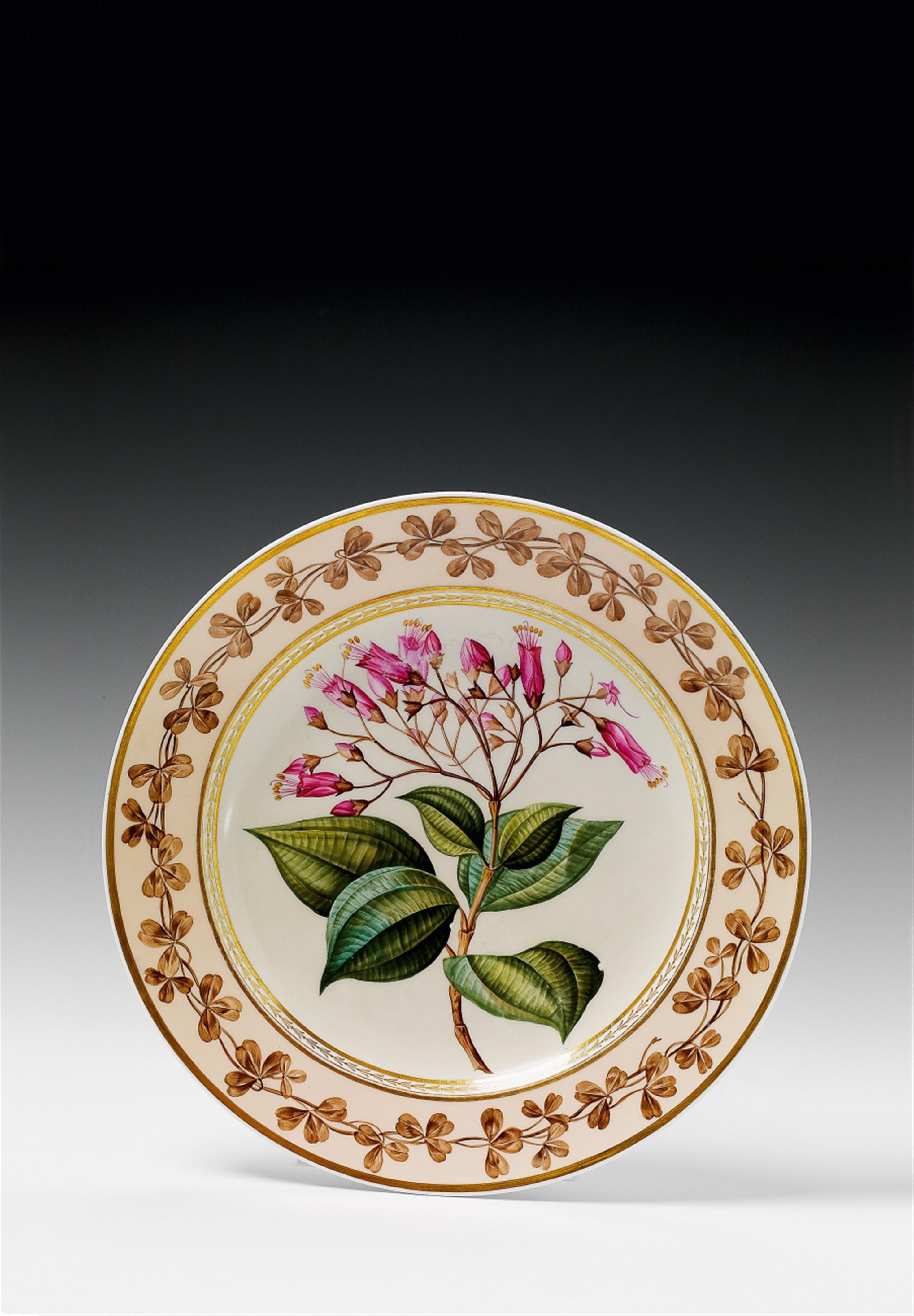 A Berlin KPM porcelain "Malestoma coccinea" plate. - image-1