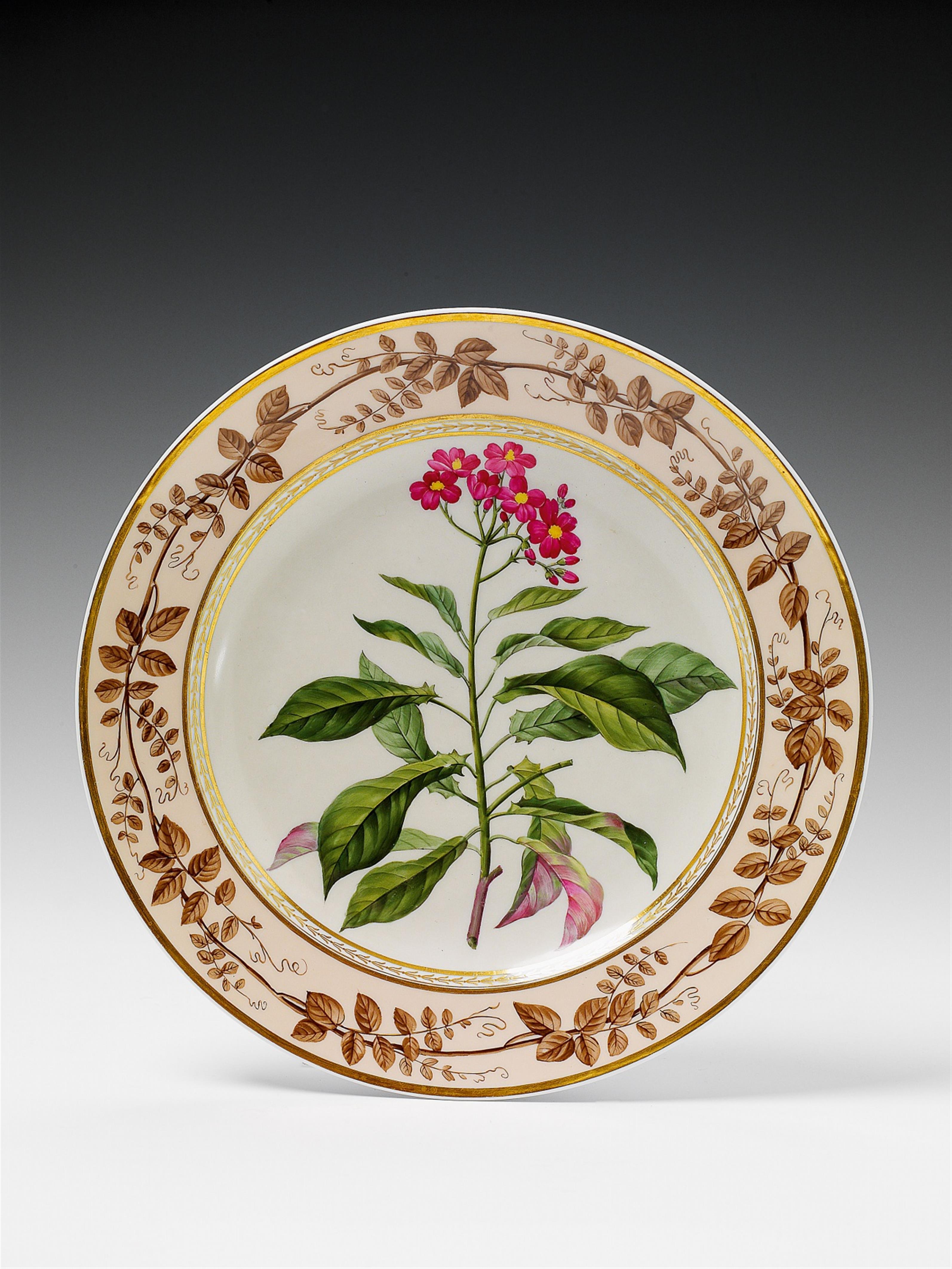 A Berlin KPM porcelain "Jatropha acuminata" plate. - image-1
