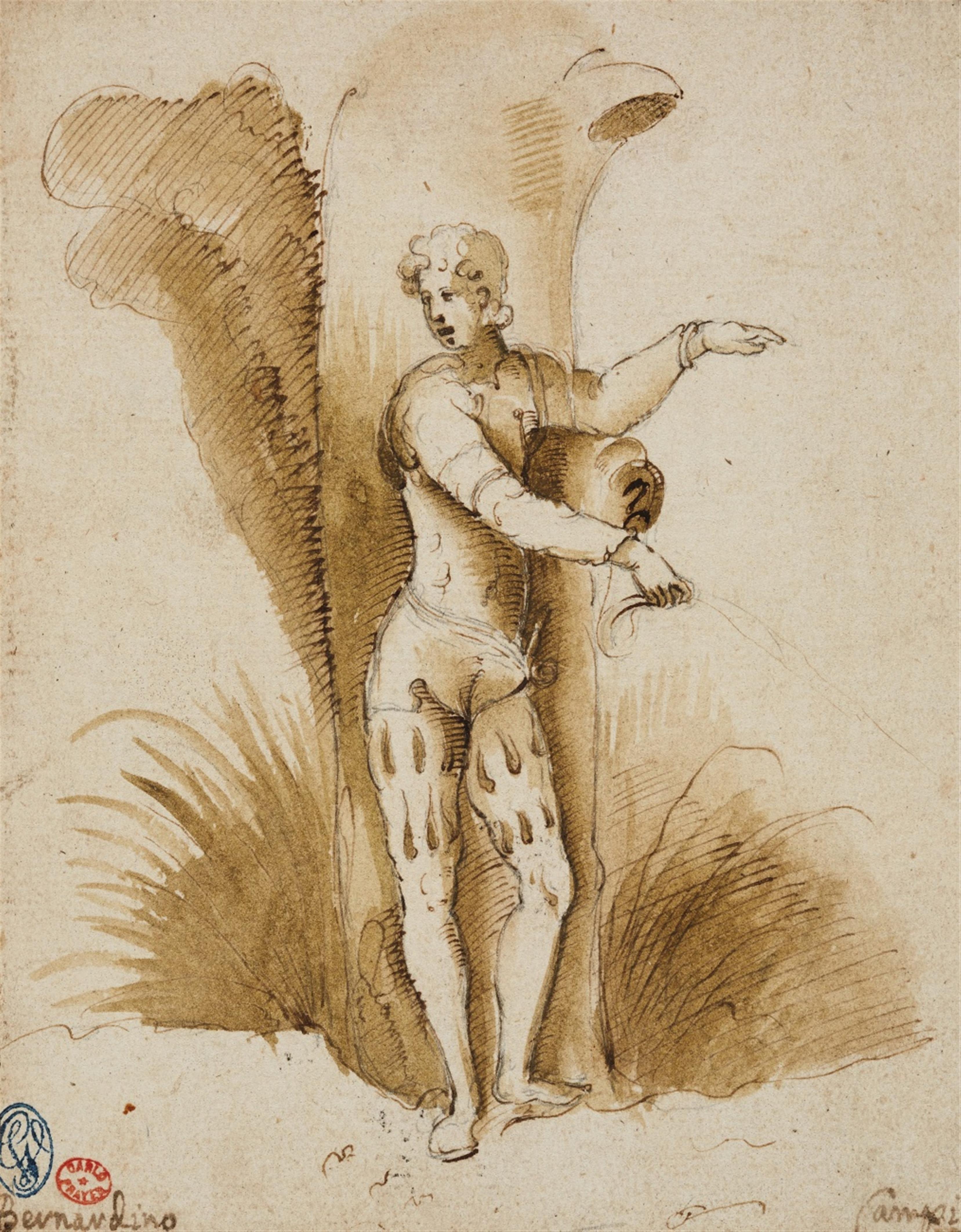 Bernardino Campi, attributed to - A Young Man Leaning on a Tree - image-1