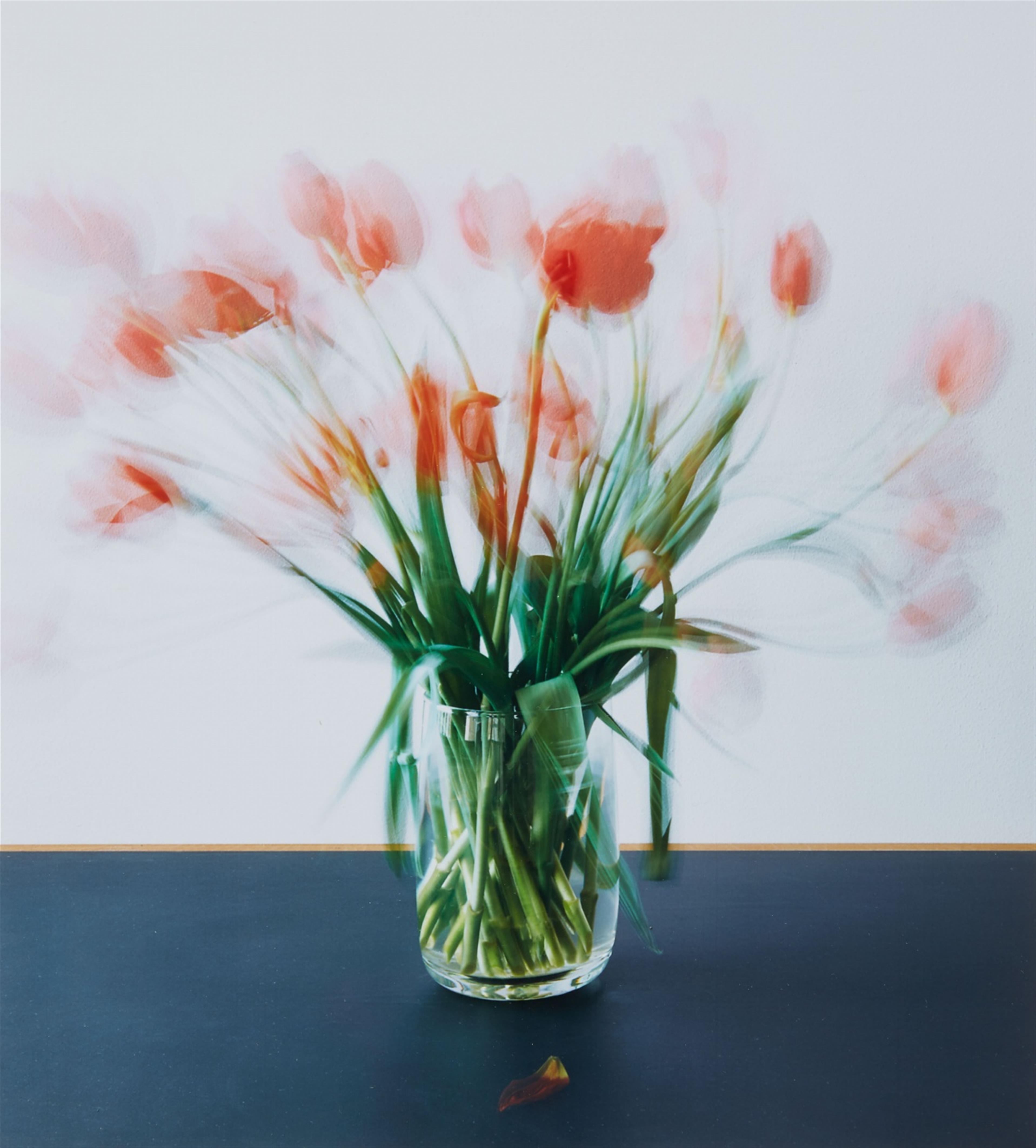 Michael Wesely - 10.2. - 20.20.2007 - image-1