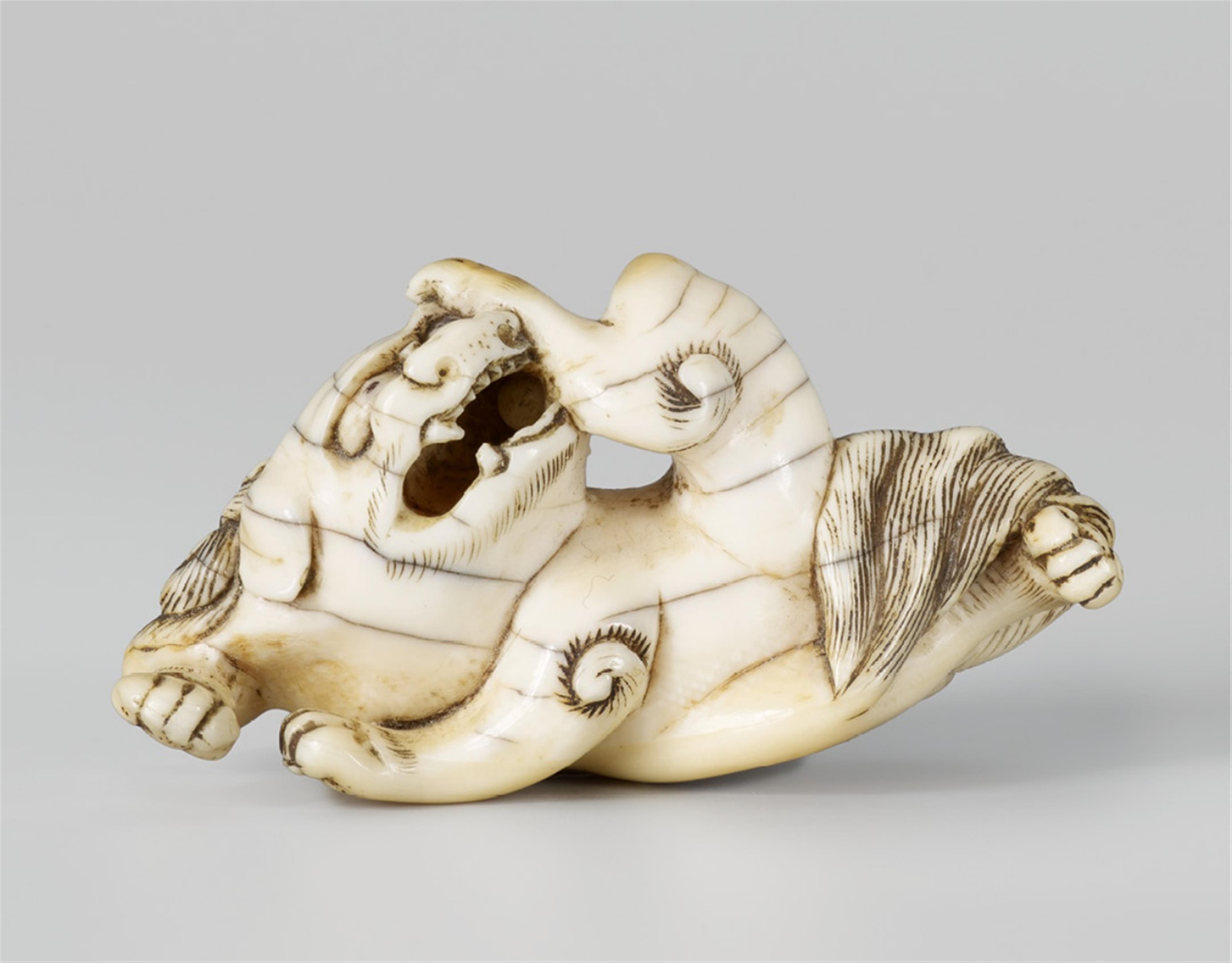 An ivory netsuke of a shishi. Late 18th century - image-1