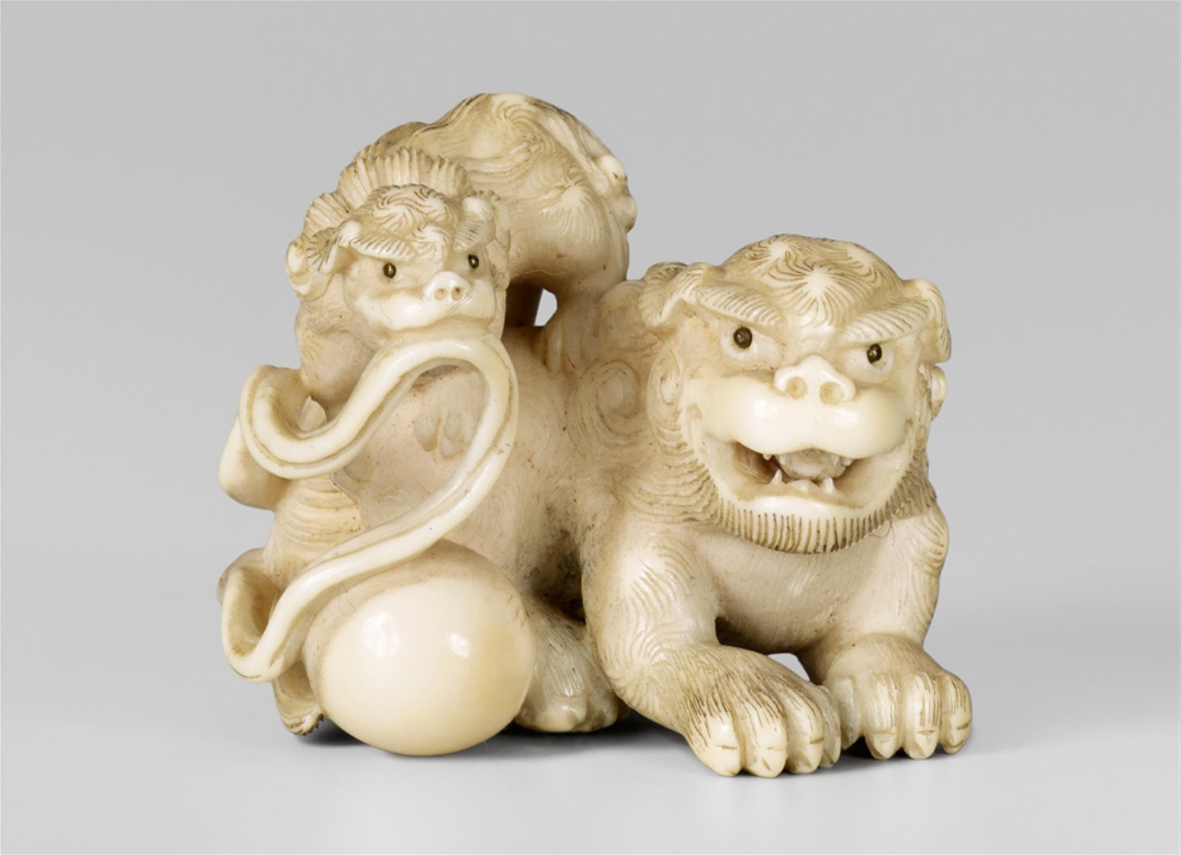 A Kyoto school ivory netsuke of a shishi and young, by Hakuryû. First half 19th century - image-1