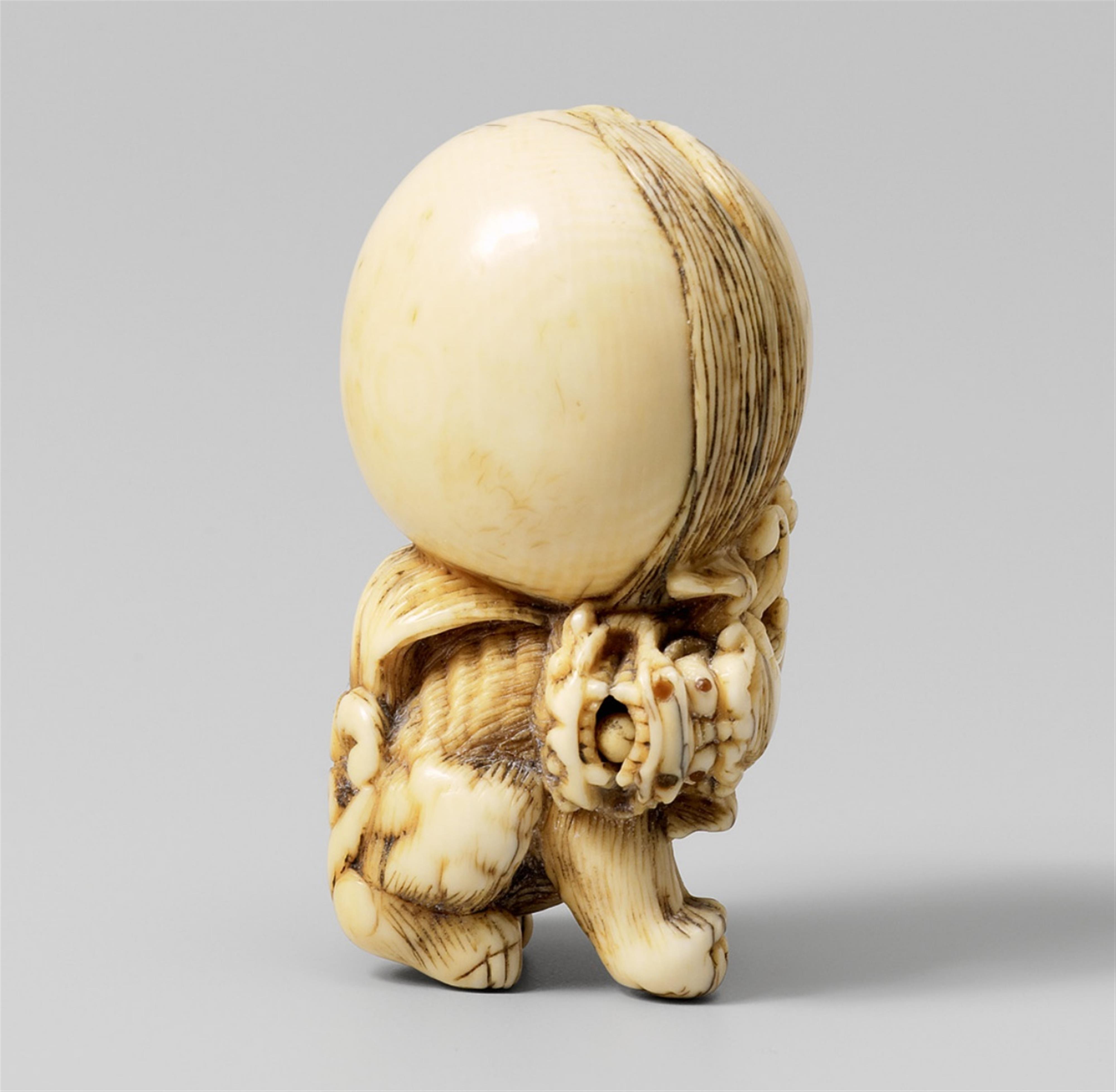 An amusing ivory netsuke of a shishi with a huge ball. 19th century - image-1