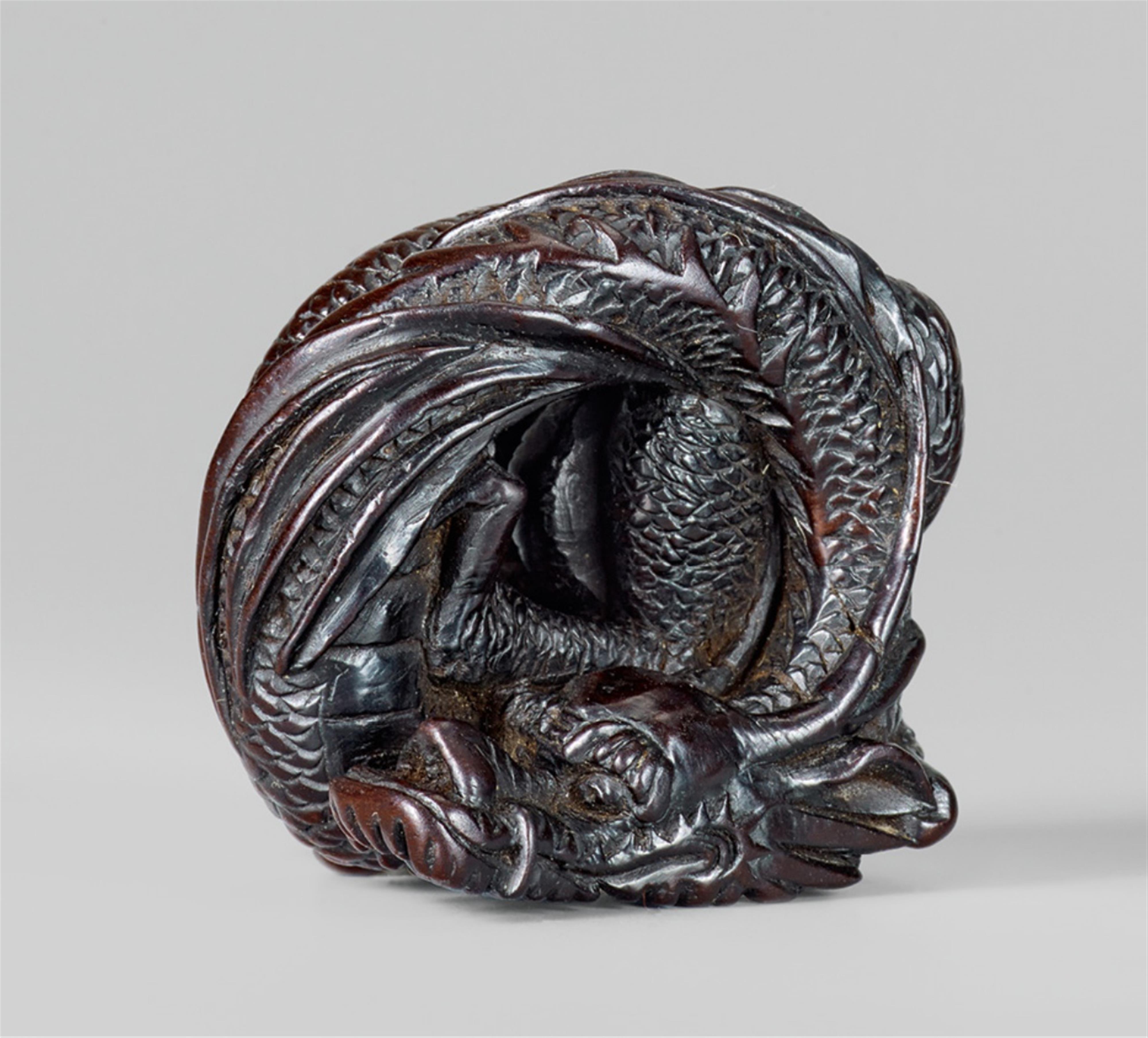 A large dark brown wood netsuke of a coiled dragon. 19th century - image-1