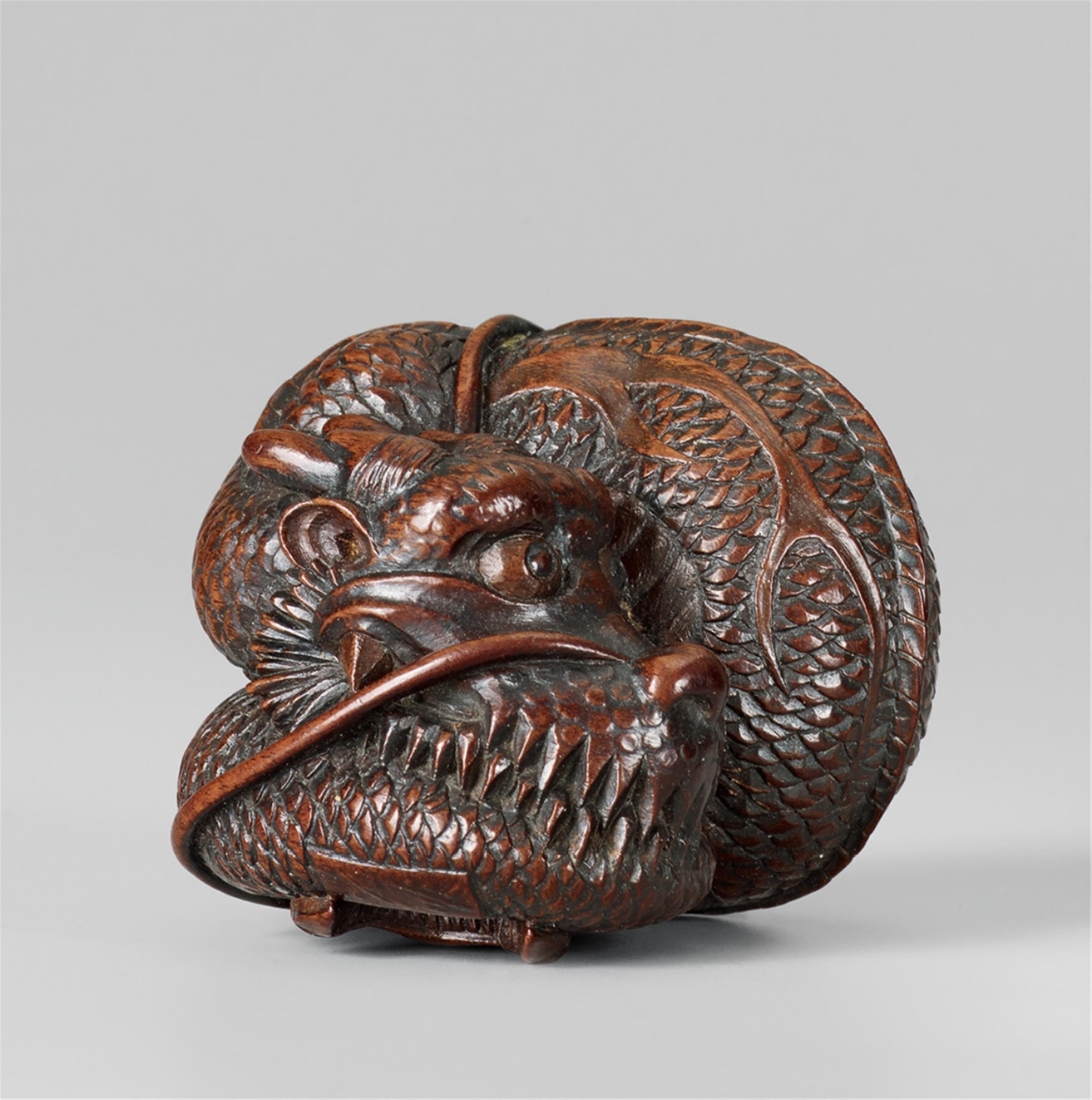 An interesting Nagoya-school wood netsuke of a coiled dragon, by Mitsutame. Mid-19th century - image-1